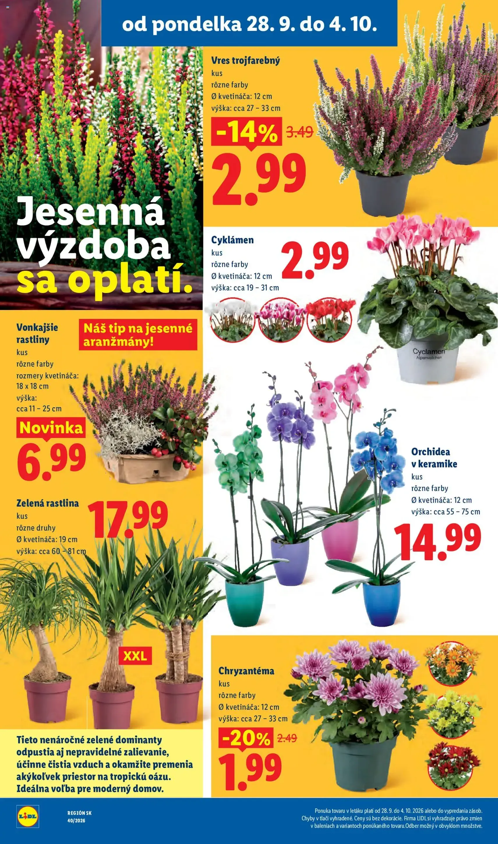 Lidl leták - platný leták od 28.09.2026 strana 51 z 100