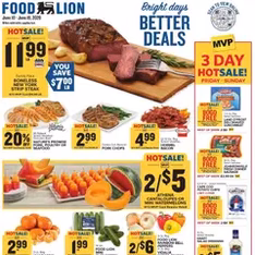 Food Lion Weekly Ad - Flyer preview valid from 06/10/2026