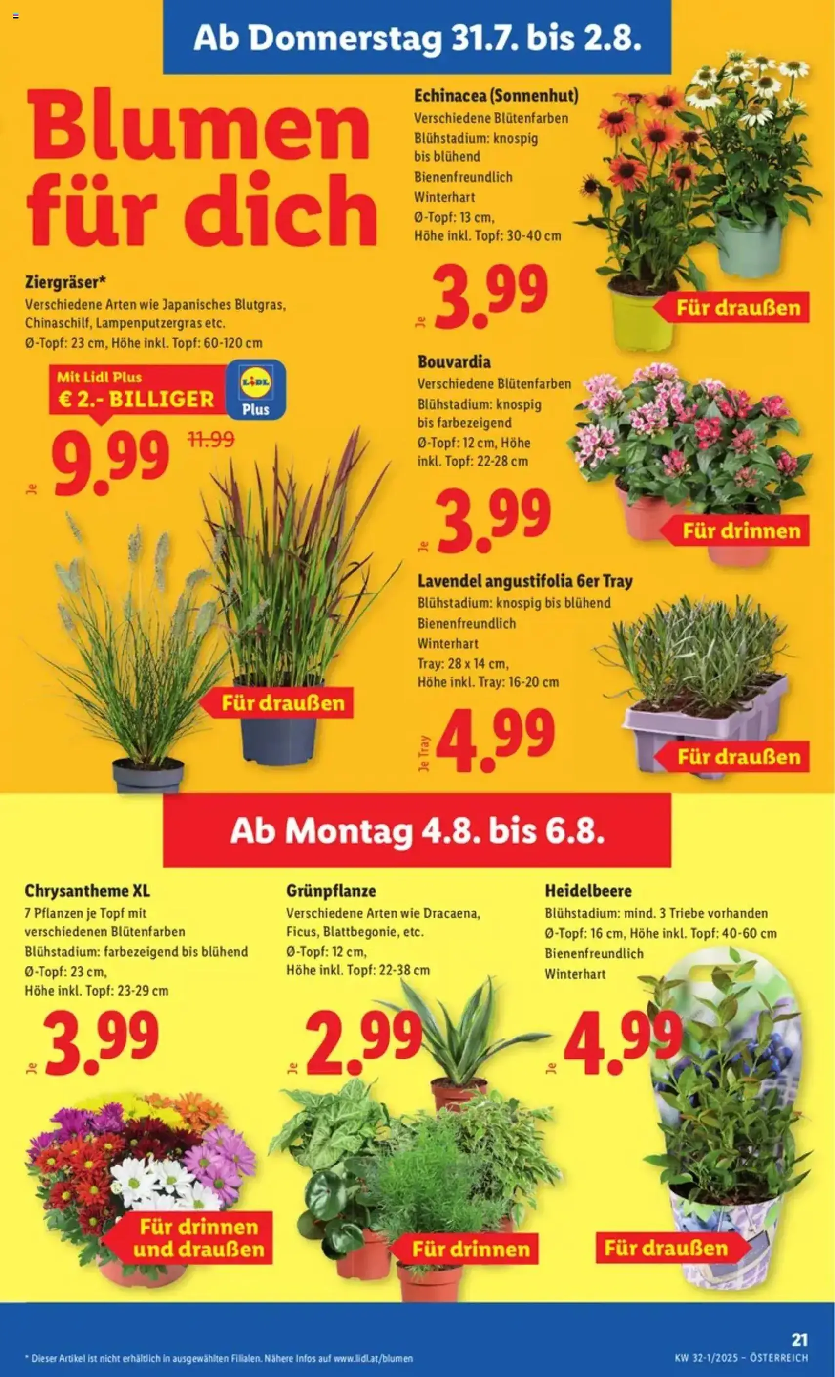 Lidl Flugblatt - Gültiger Prospekt ab 31.07.2025, Seite 23 von insgesamt 42 Lidl Flugblatt - Gültiger Prospekt ab 31.07.2025, Seite 23 von insgesamt 42