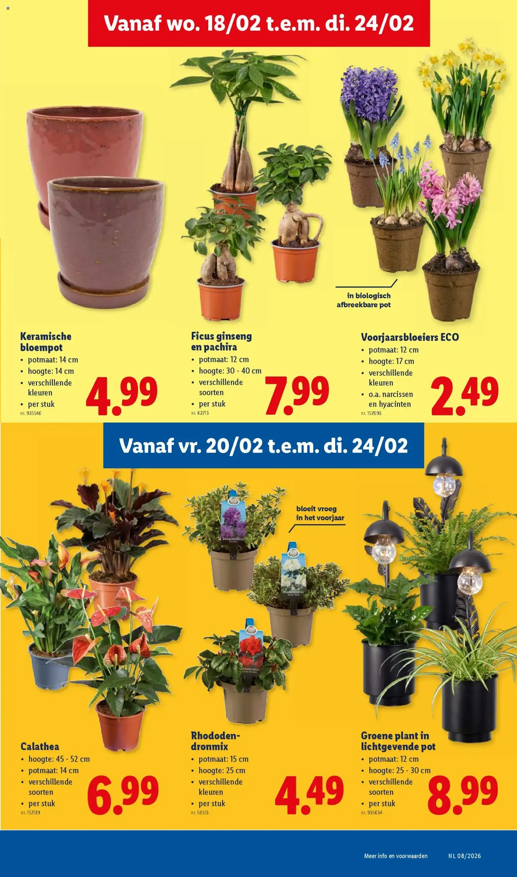 Lidl Folder week 8 - geldige folder vanaf 18/02/2026 pagina 19 van 38