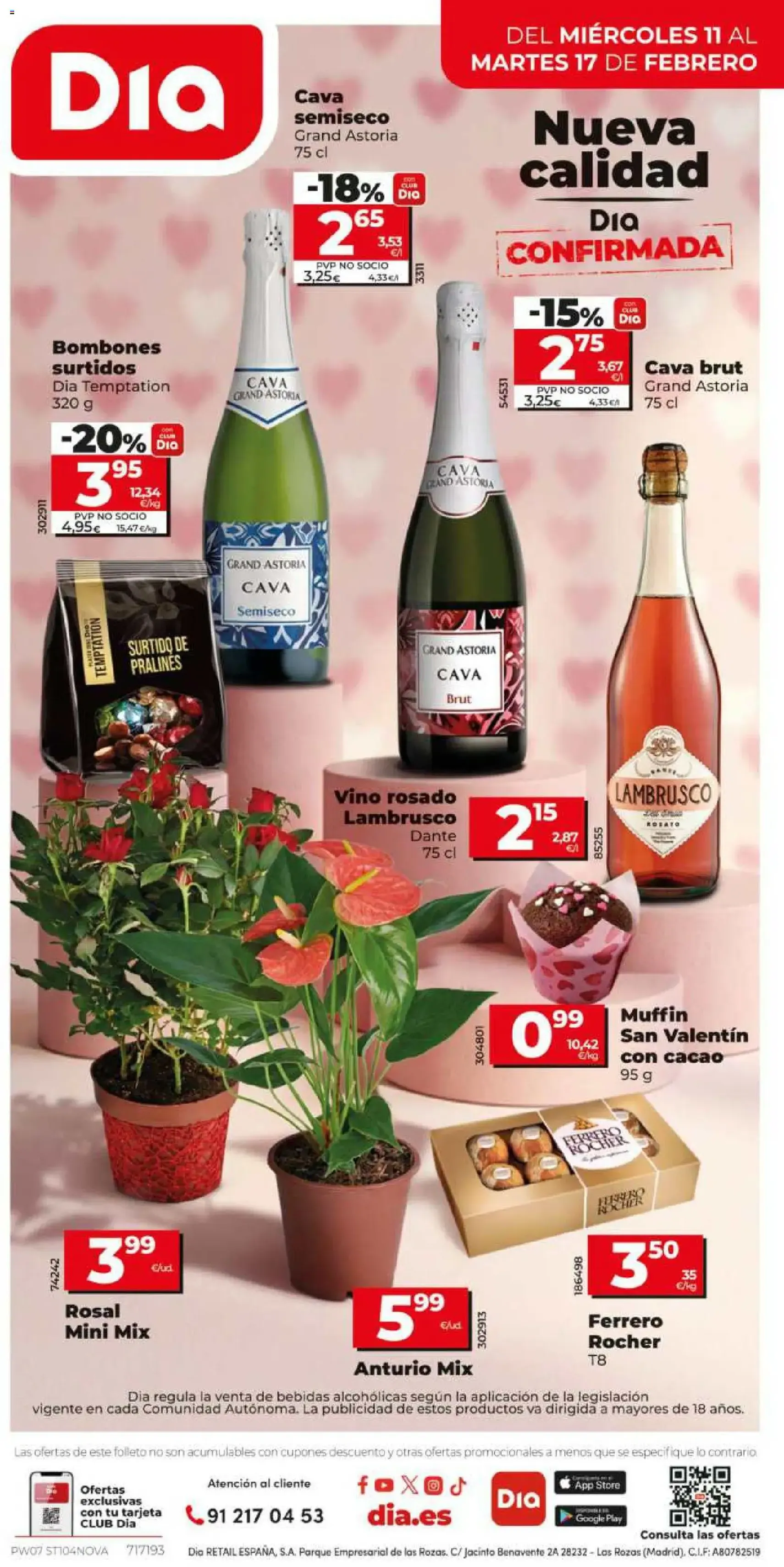 Dia - folleto Market - folleto válido desde 11/02/2026 página 12 de 12