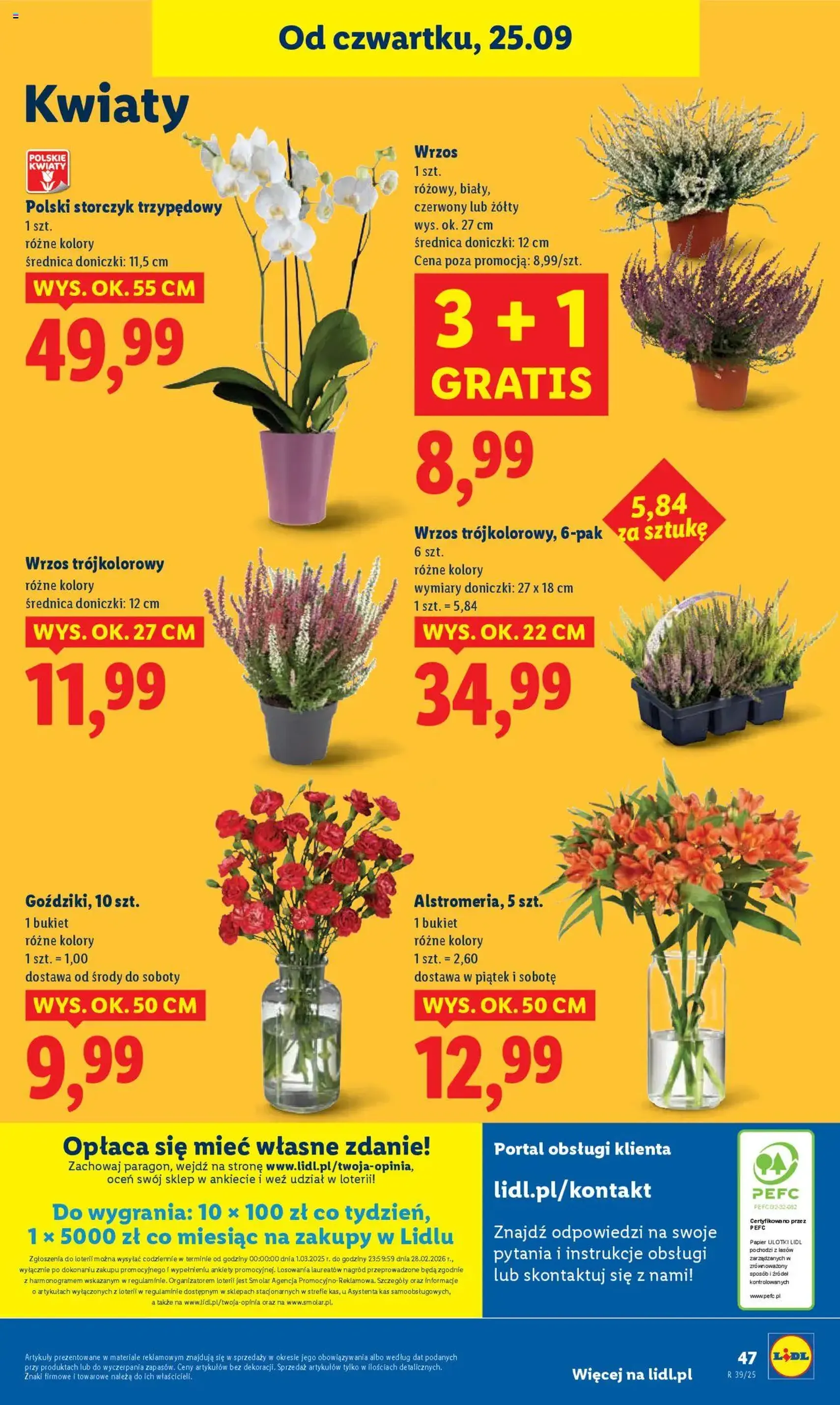 Lidl Gazetka - ważny gazetka od 25.09.2025 strona 51 z 55