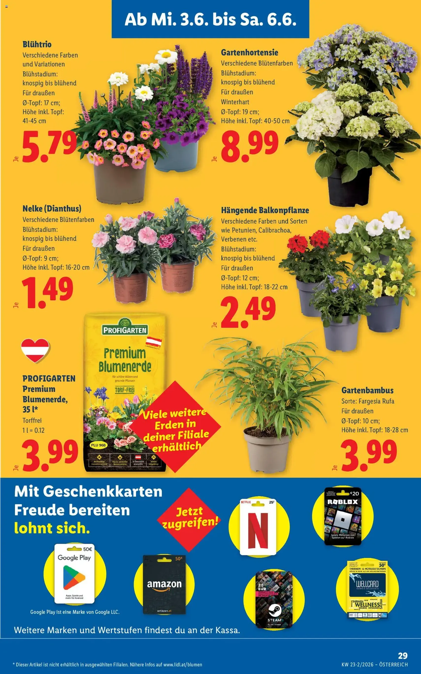 Lidl - Flugblatt - Gültiger Prospekt ab 03.06.2026, Seite 33 von insgesamt 55