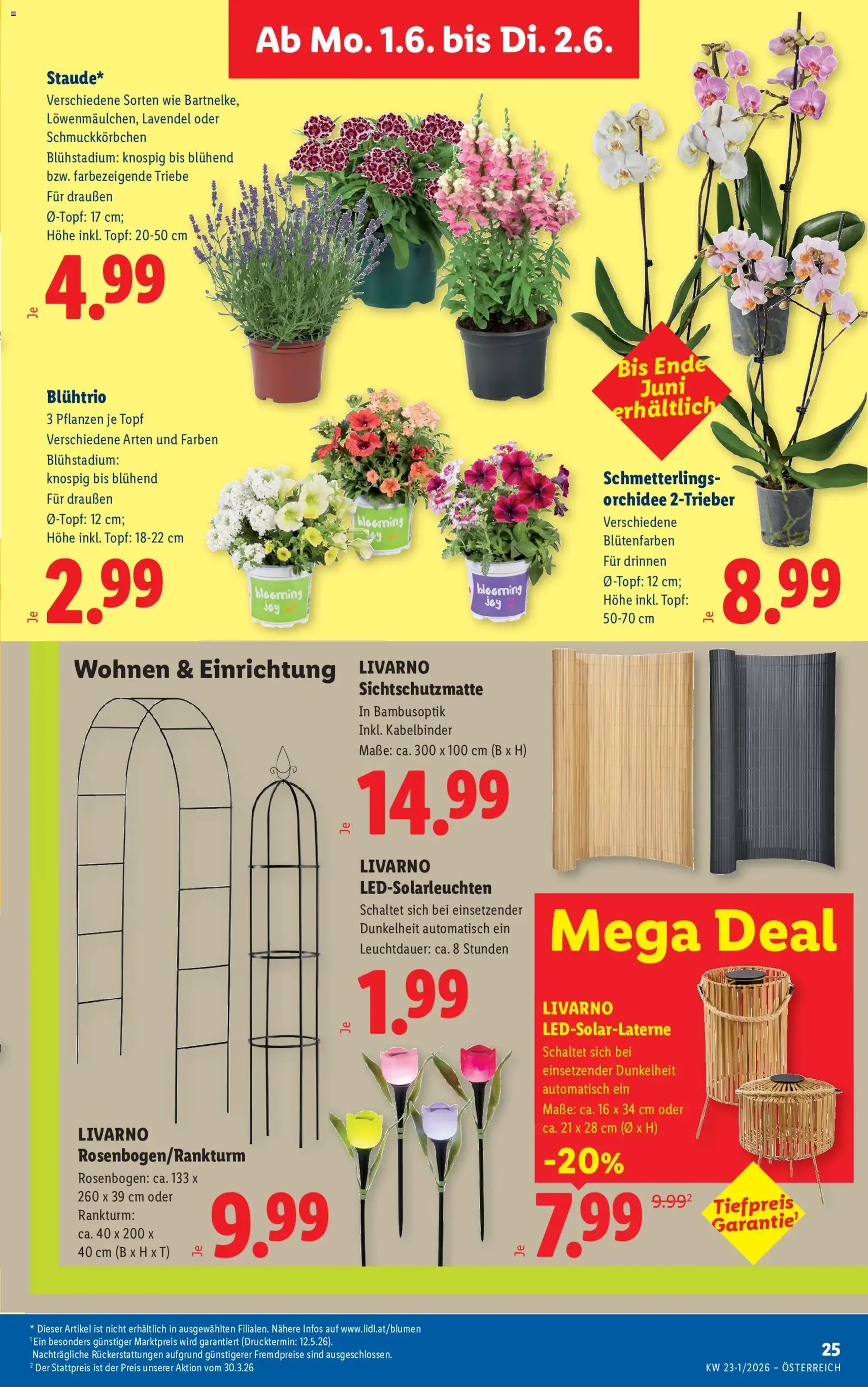 Lidl - Flugblatt - Gültiger Prospekt ab 28.05.2026, Seite 32 von insgesamt 53