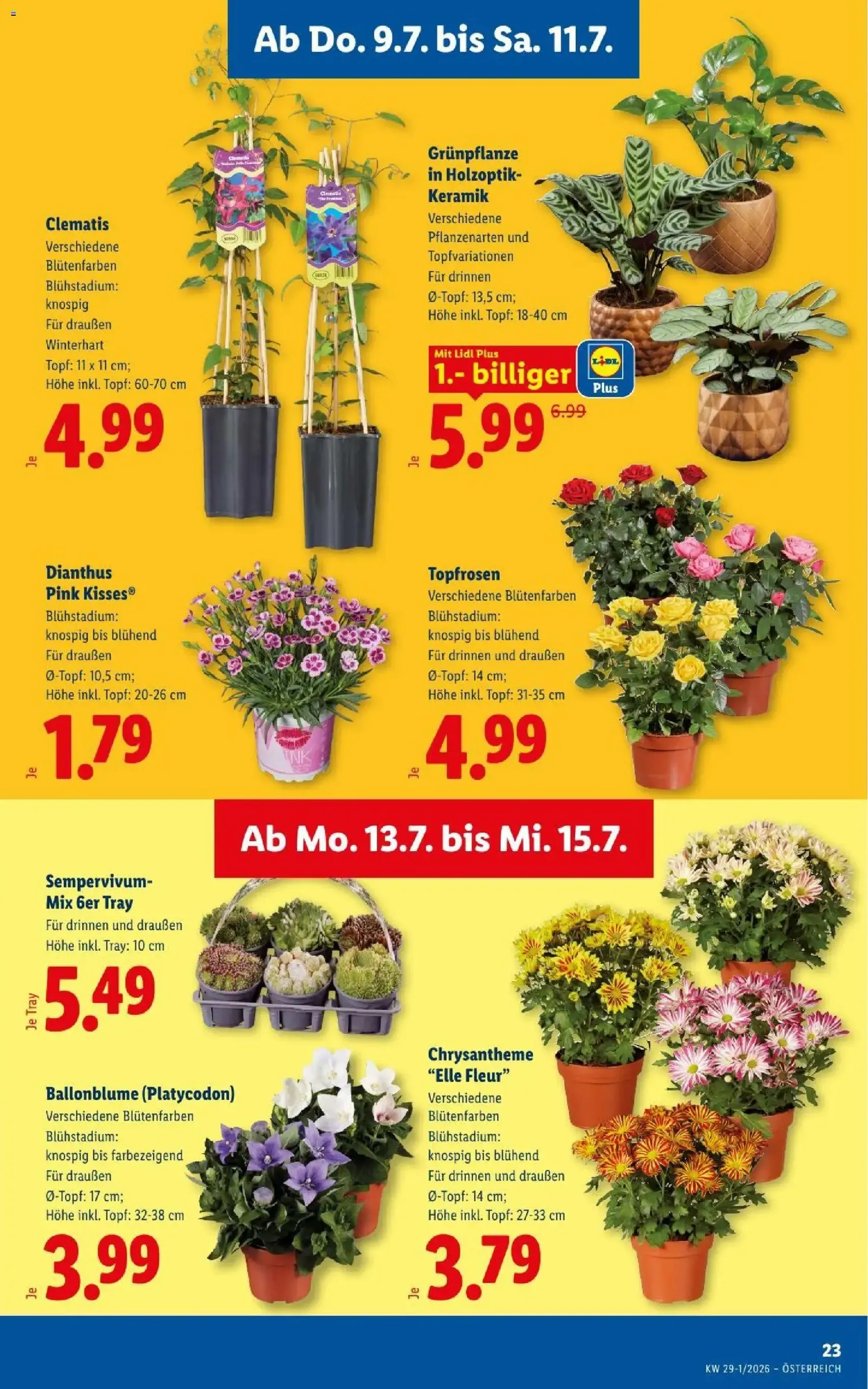Lidl - Flugblatt - Gültiger Prospekt ab 09.07.2026, Seite 27 von insgesamt 53