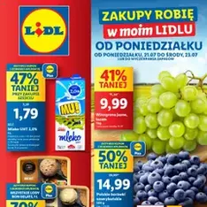 Lidl Gazetka - podgląd gazetki ważnej od 21.07.2025