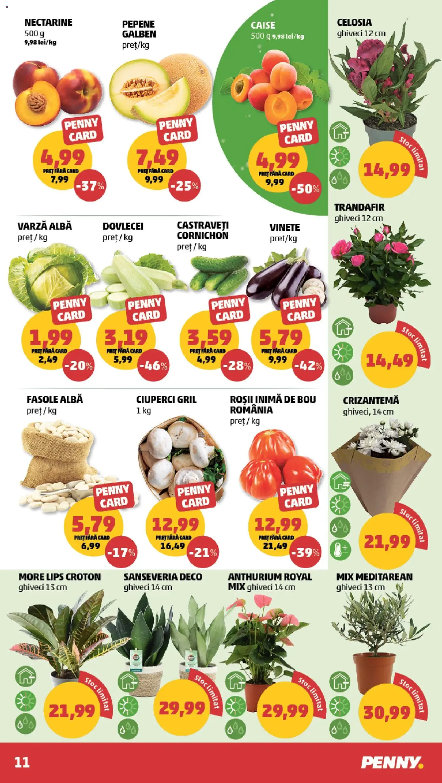 PENNY Catalog - cataloage valabile începând cu 17.06.2026 pagina 11 din 24