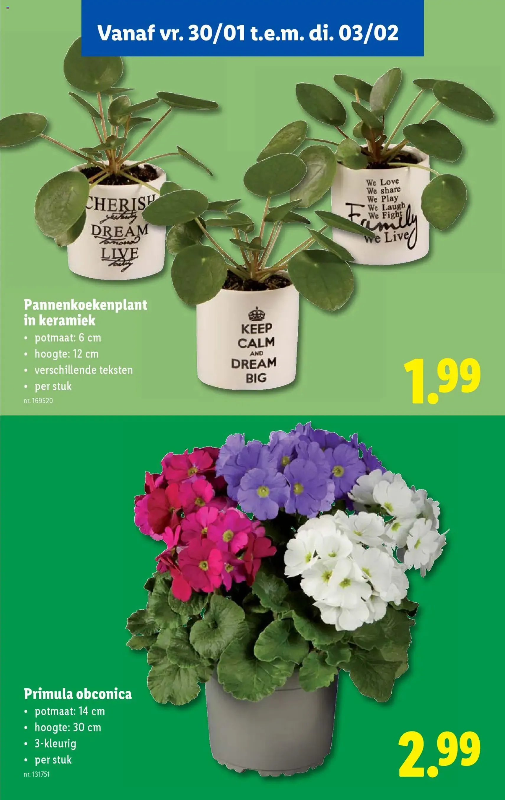 Lidl Folder week 5 - geldige folder vanaf 28/01/2026 pagina 47 van 61