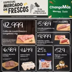 Vista previa del folleto Punto Mayorista catálogo válido desde 30/09/2025