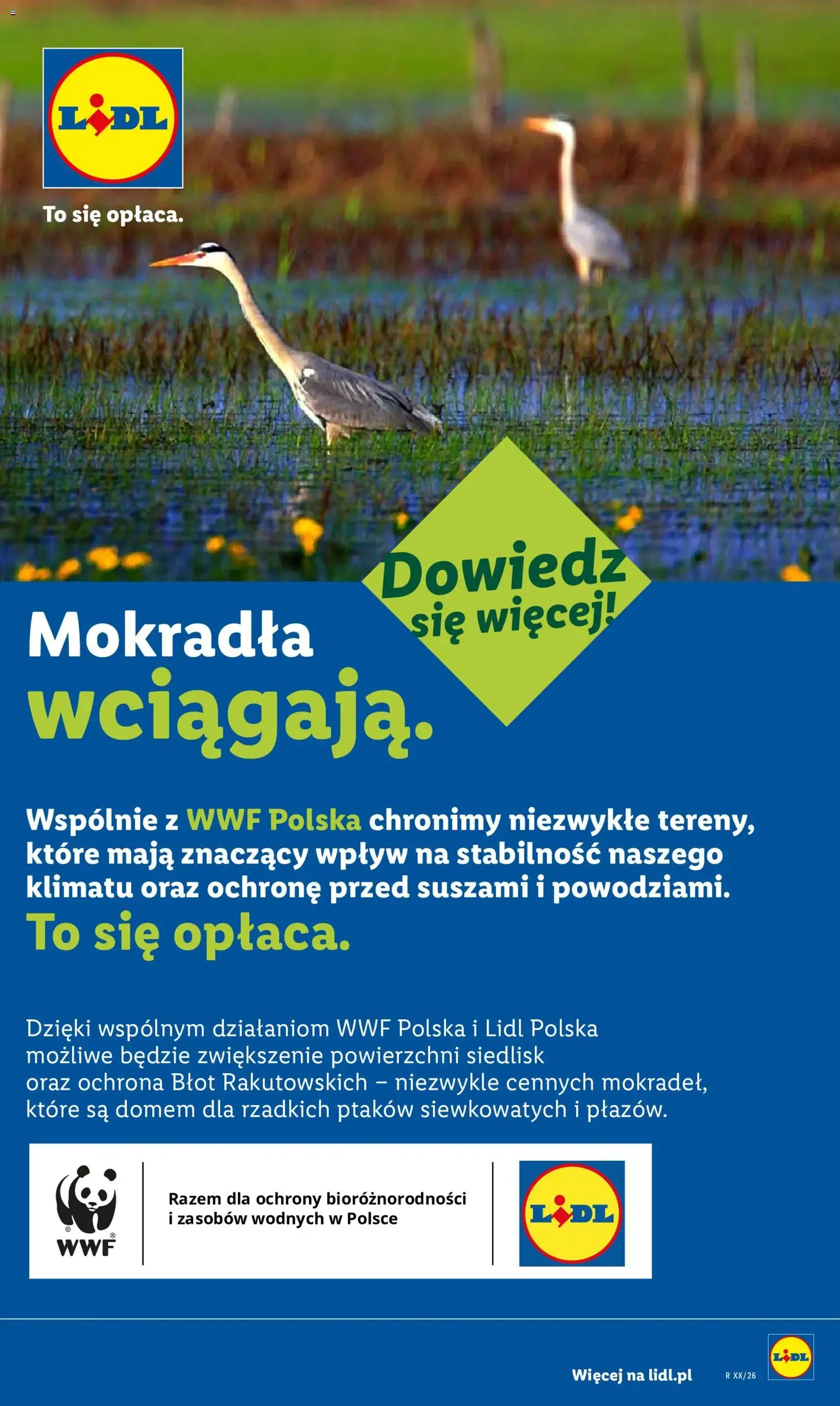 Lidl gazetka - ważny gazetka od 09.07.2026 strona 92 z 92