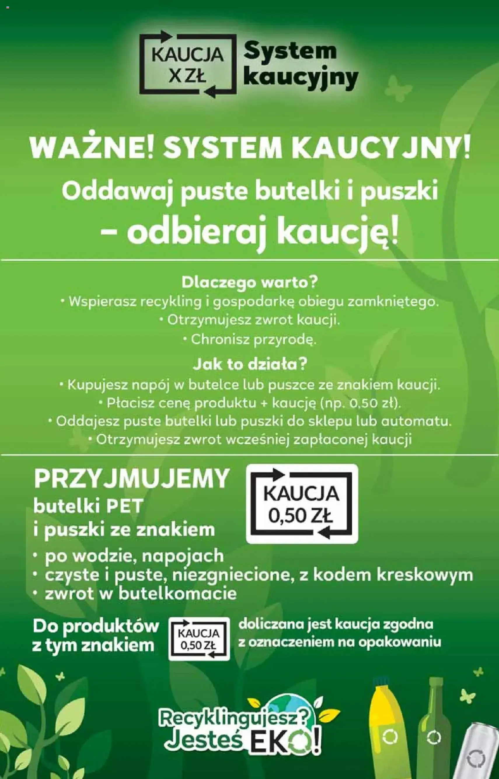 Stokrotka gazetka - ważny gazetka od 14.05.2026 strona 42 z 42