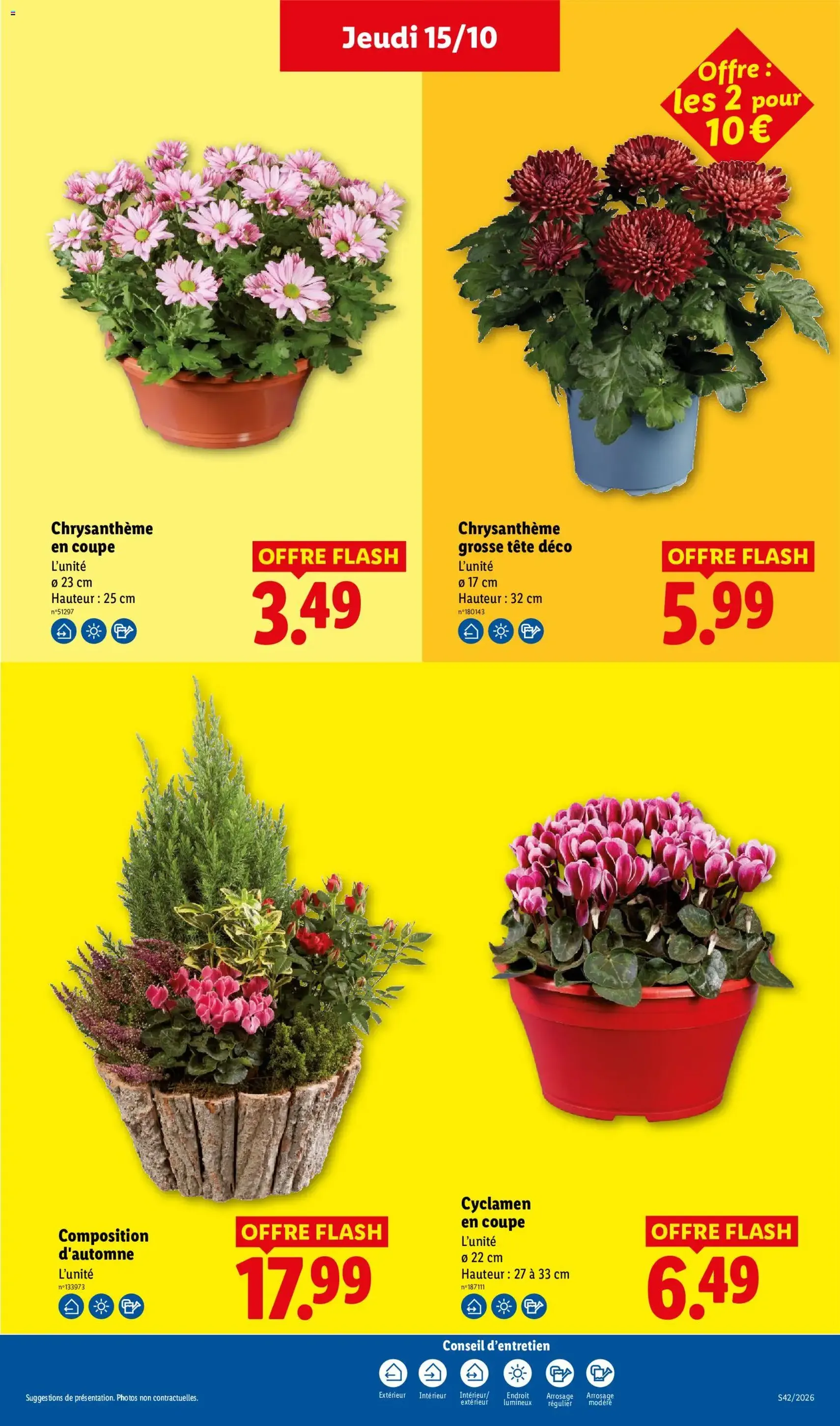 LIDL catalogue - brochure valable à partir du 15/10/2026, page 41 sur 64