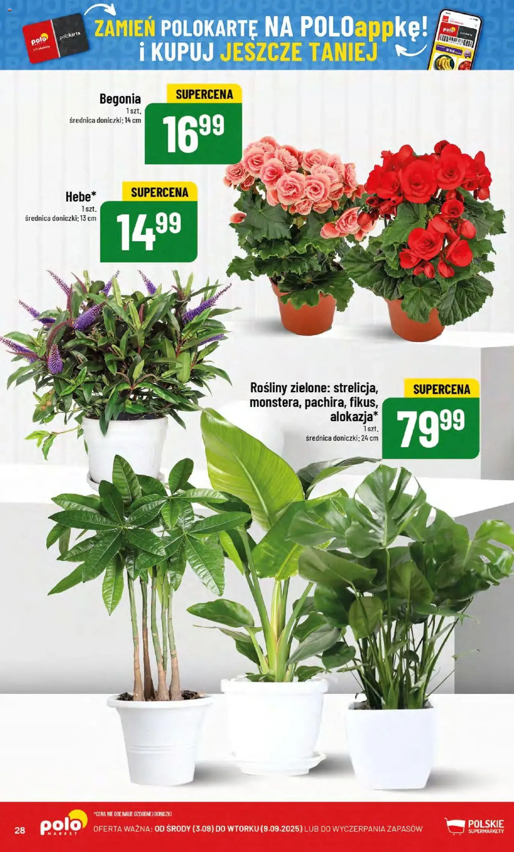 POLOmarket Gazetka - ważny gazetka od 03.09.2025 strona 28 z 80 POLOmarket Gazetka - ważny gazetka od 03.09.2025 strona 28 z 80