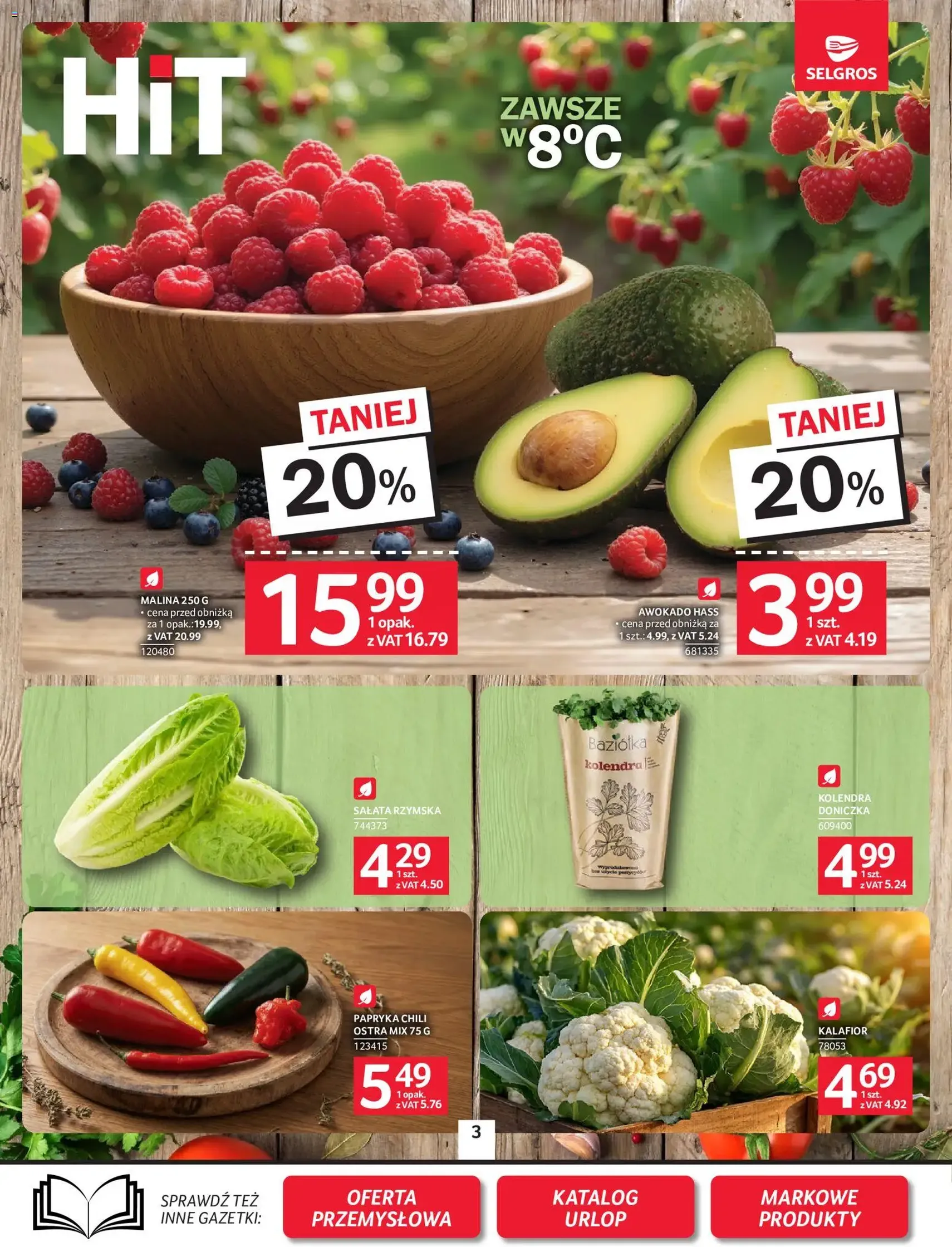 Selgros cash&carry gazetka - ważny gazetka od 18.06.2026 strona 3 z 23