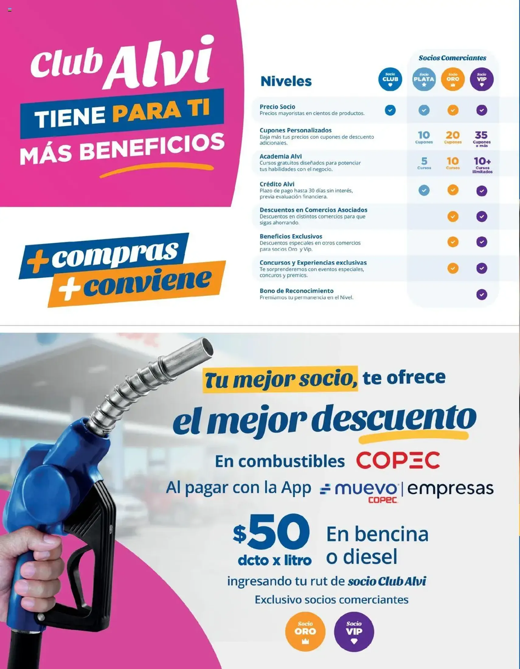 Alvi catálogo - folleto válido desde 22.07.2025 página 24 de 24 Alvi catálogo - folleto válido desde 22.07.2025 página 24 de 24