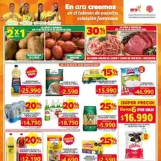 Vista previa del folleto Ara - Catálogo válido desde 31/07/2025