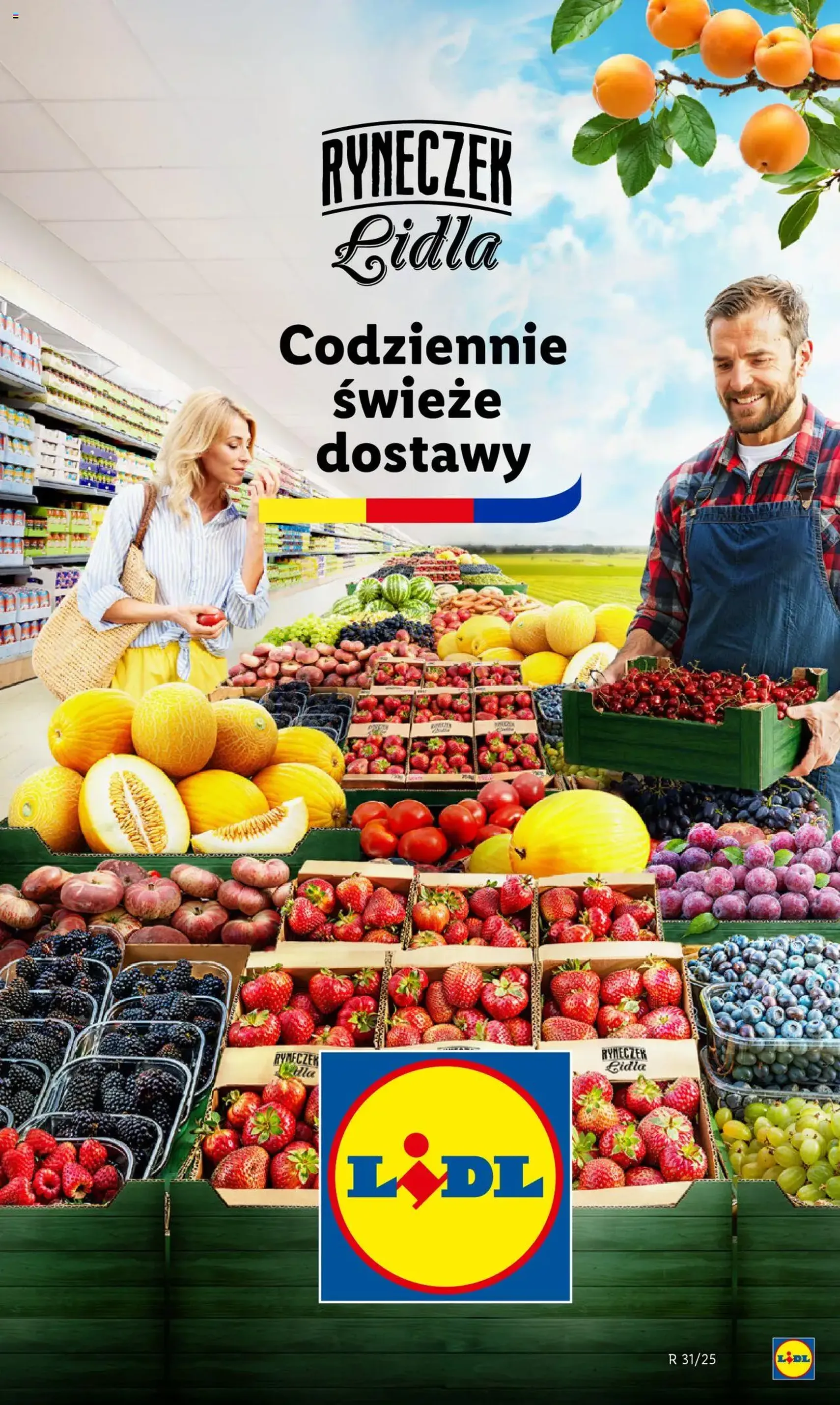 Lidl Gazetka - ważny gazetka od 31.07.2025 strona 19 z 63 Lidl Gazetka - ważny gazetka od 31.07.2025 strona 19 z 63