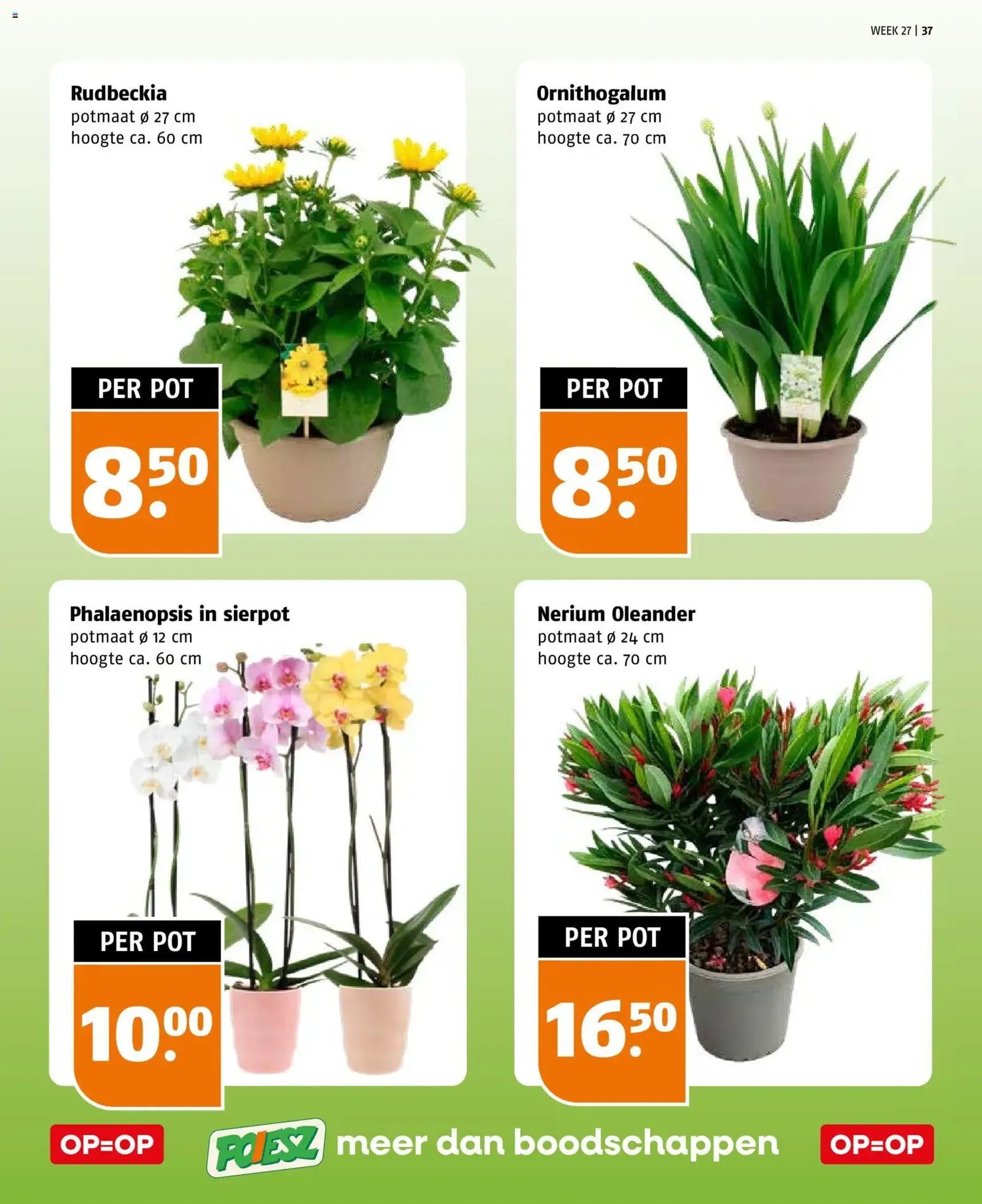 Poiesz folder - geldige folder vanaf 28-06-2026 pagina 37 van 41