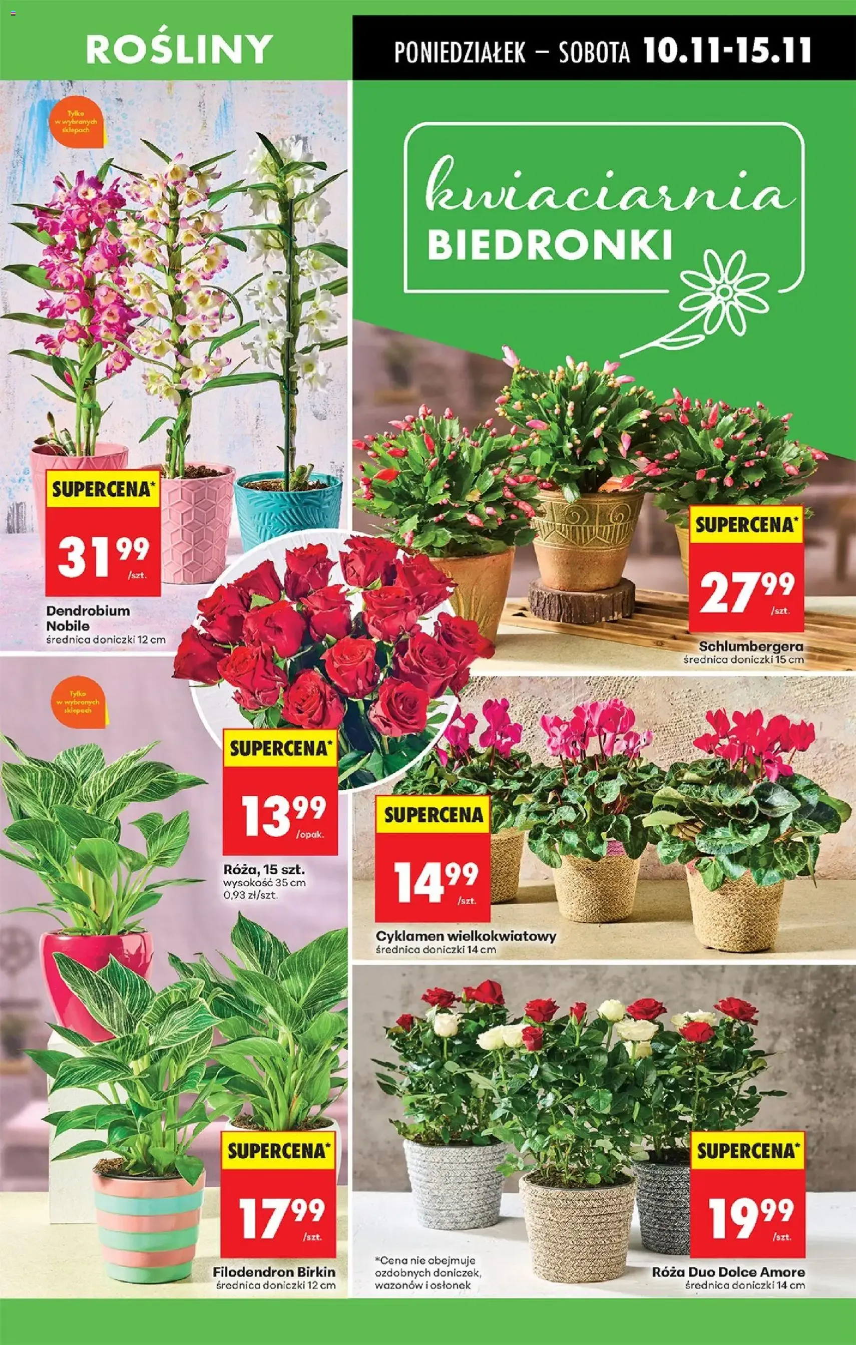 Biedronka gazetka - ważny gazetka od 10.11.2025 strona 19 z 87