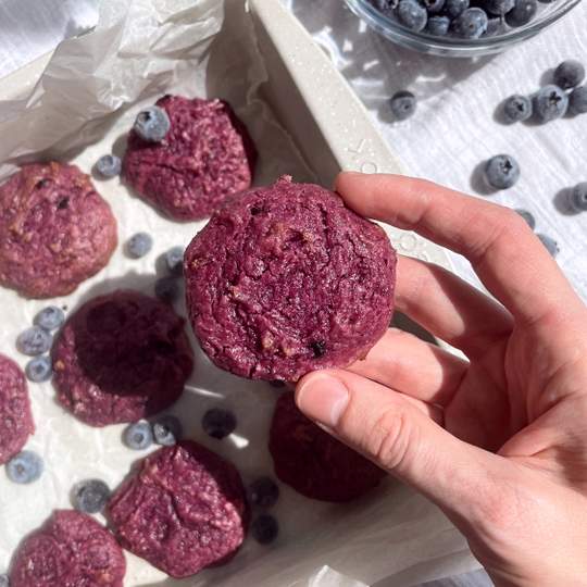 Anteprima ricetta Biscotti ai mirtilli