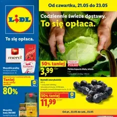 Lidl gazetka - podgląd gazetki ważnej od 21.05.2026