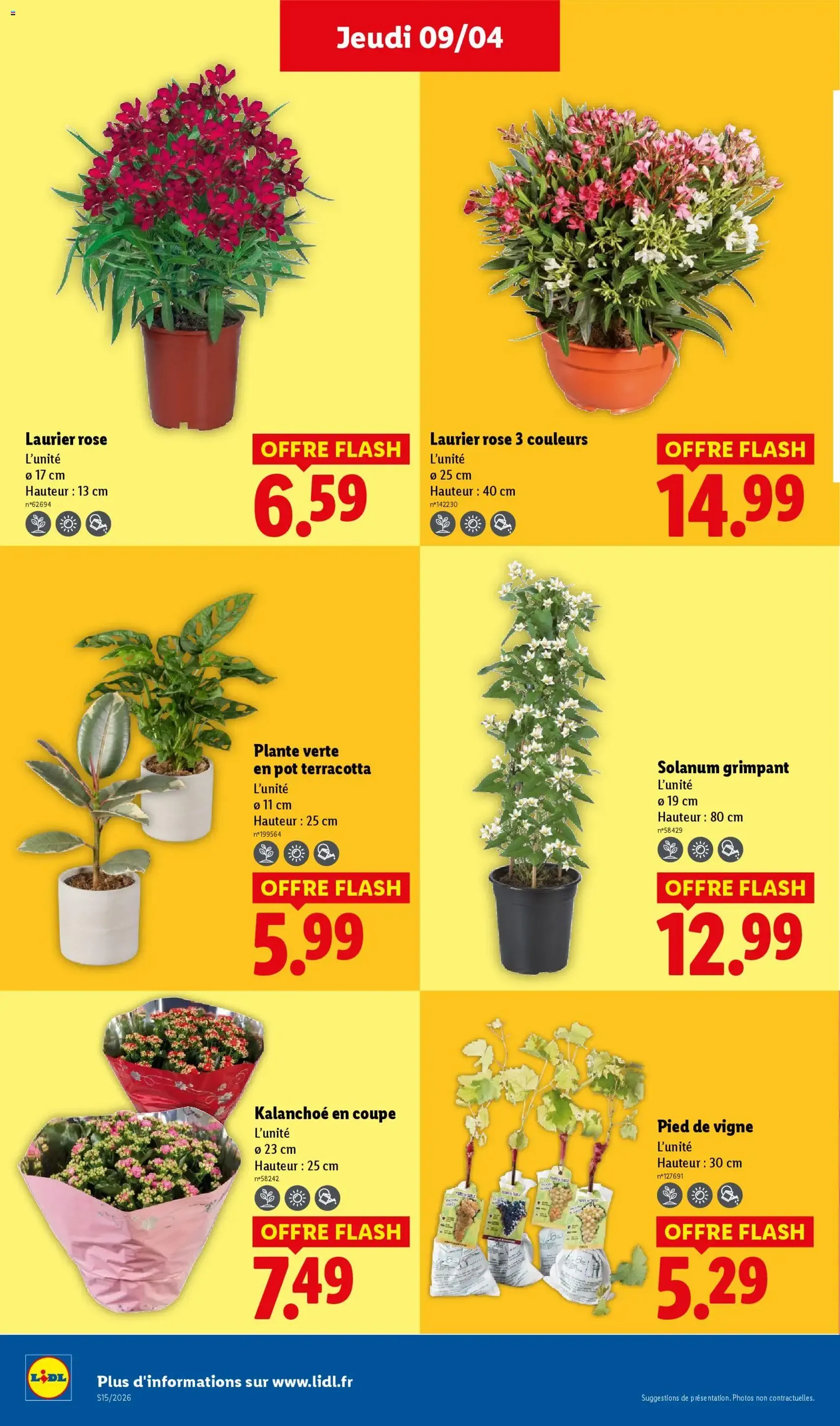 LIDL catalogue semaine 15 - brochure valable à partir du 09/04/2026, page 26 sur 75