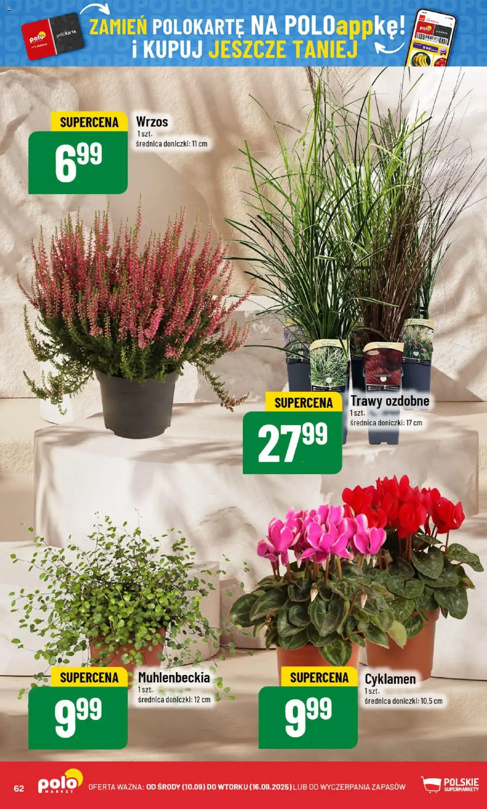 POLOmarket Gazetka - ważny gazetka od 10.09.2025 strona 62 z 72
