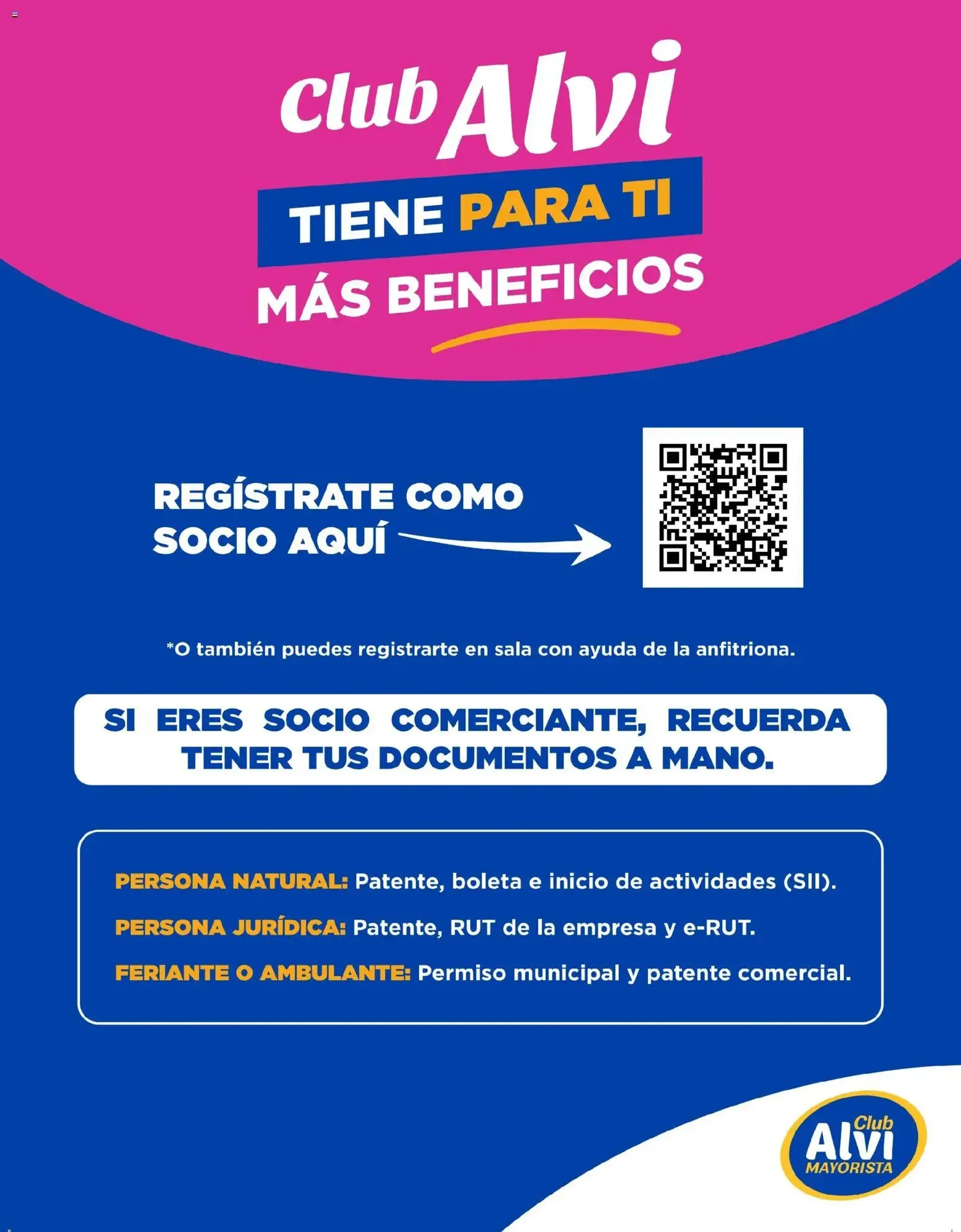 Alvi catálogo - folleto válido desde 14.01.2026 página 11 de 24