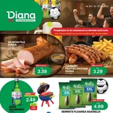 Diana Catalog - previzualizare cataloage valabilă începând cu 16.06.2026