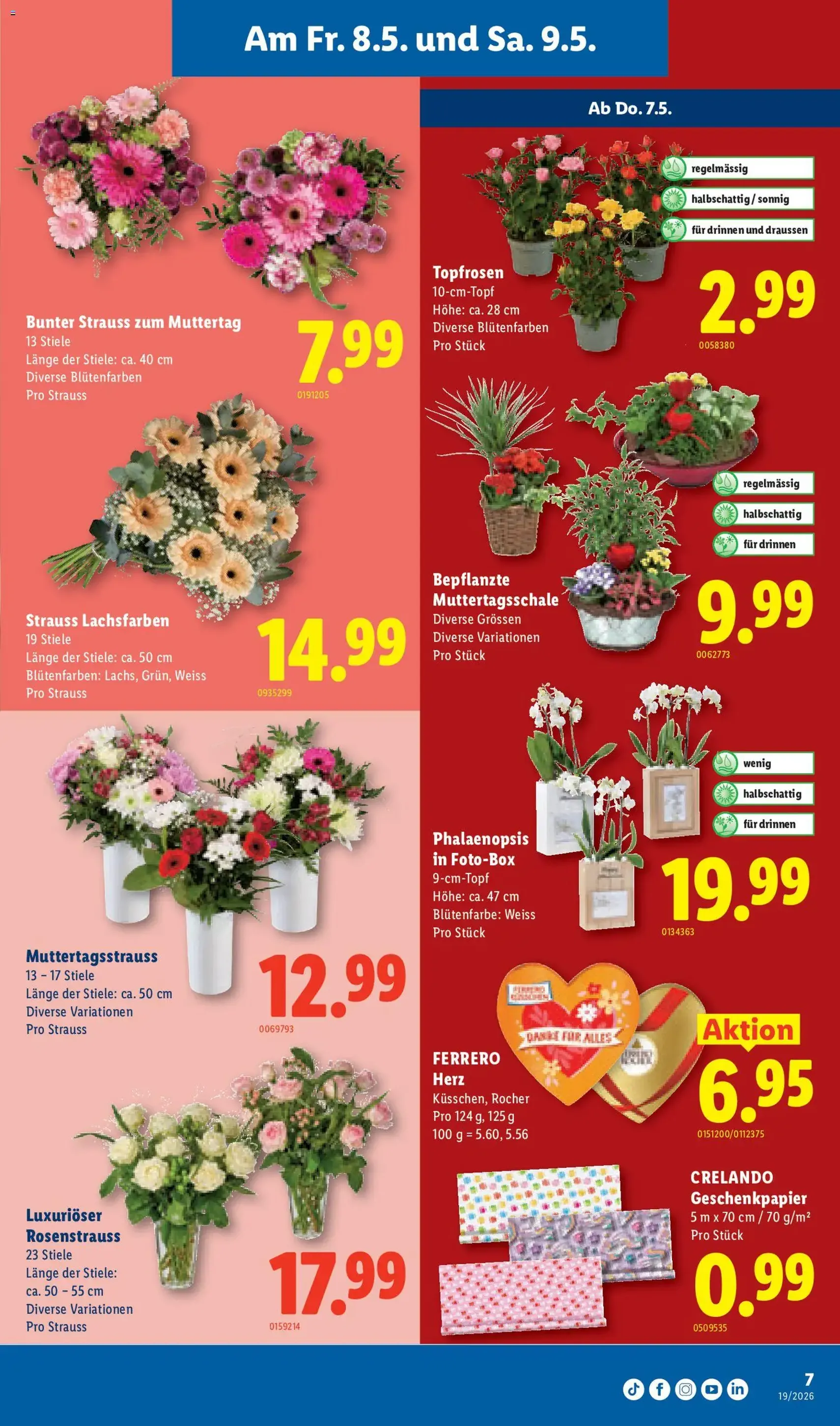 Lidl aktionen - Gültiger Prospekt ab 07.05.2026, Seite 7 von insgesamt 32