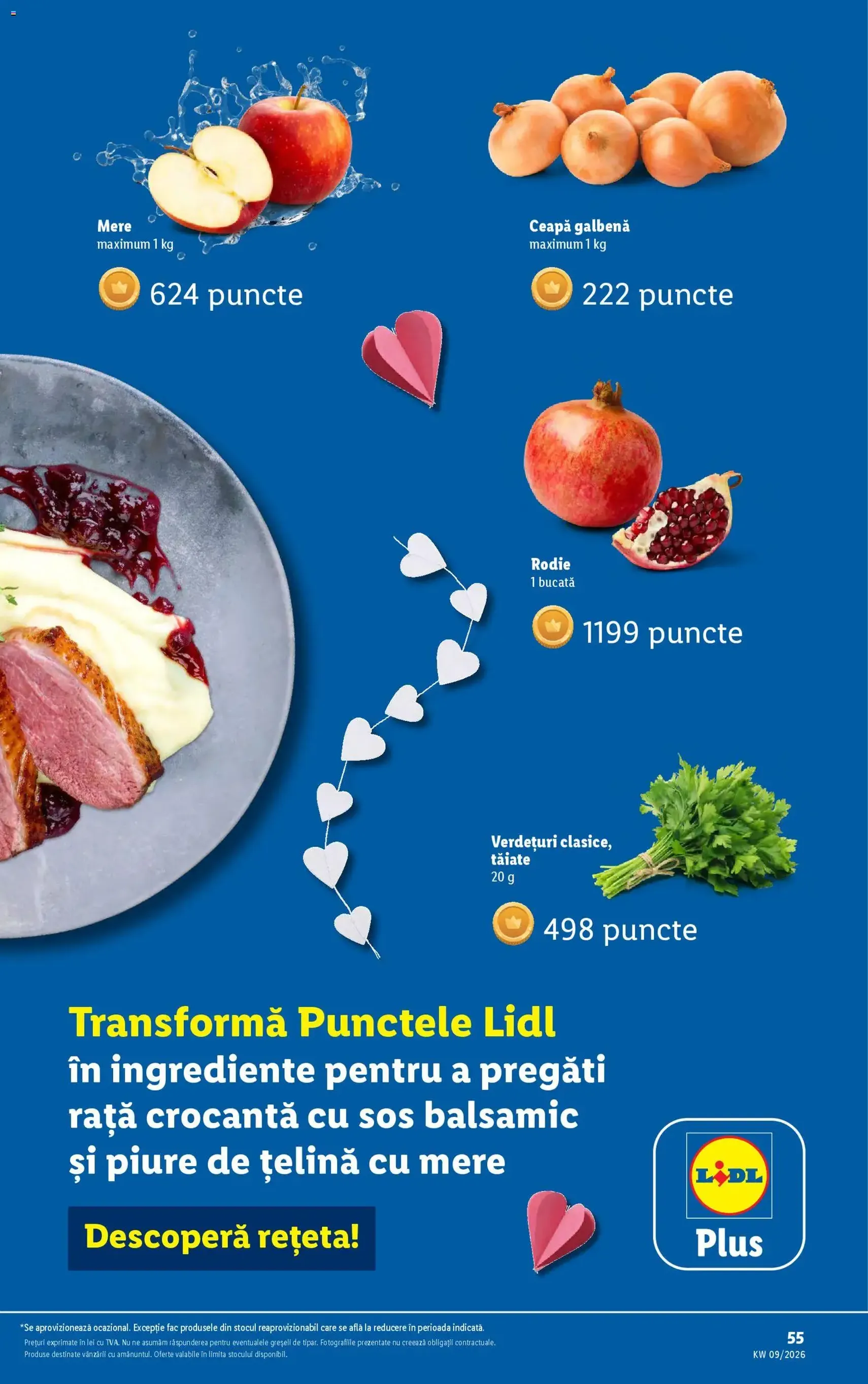 Catalog Lidl - cataloage valabile începând cu 23.02.2026 pagina 55 din 92