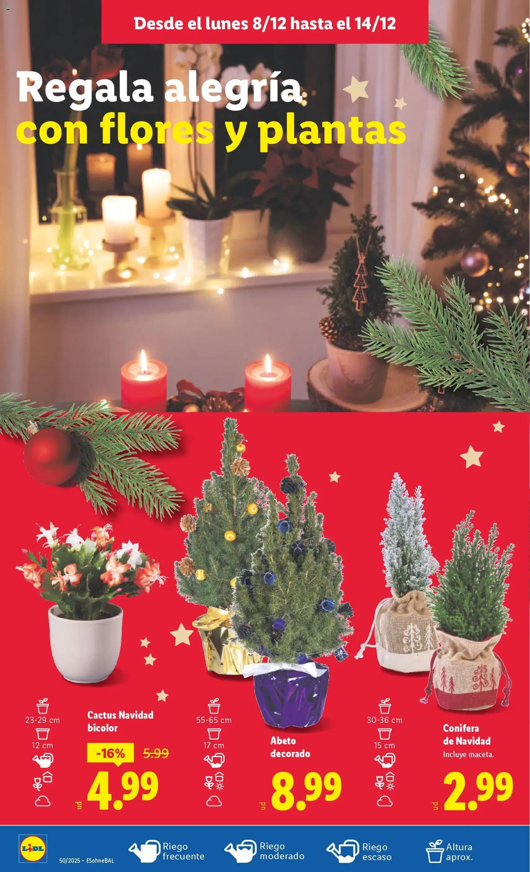 Lidl folleto - folleto válido desde 08/12/2025 página 52 de 53