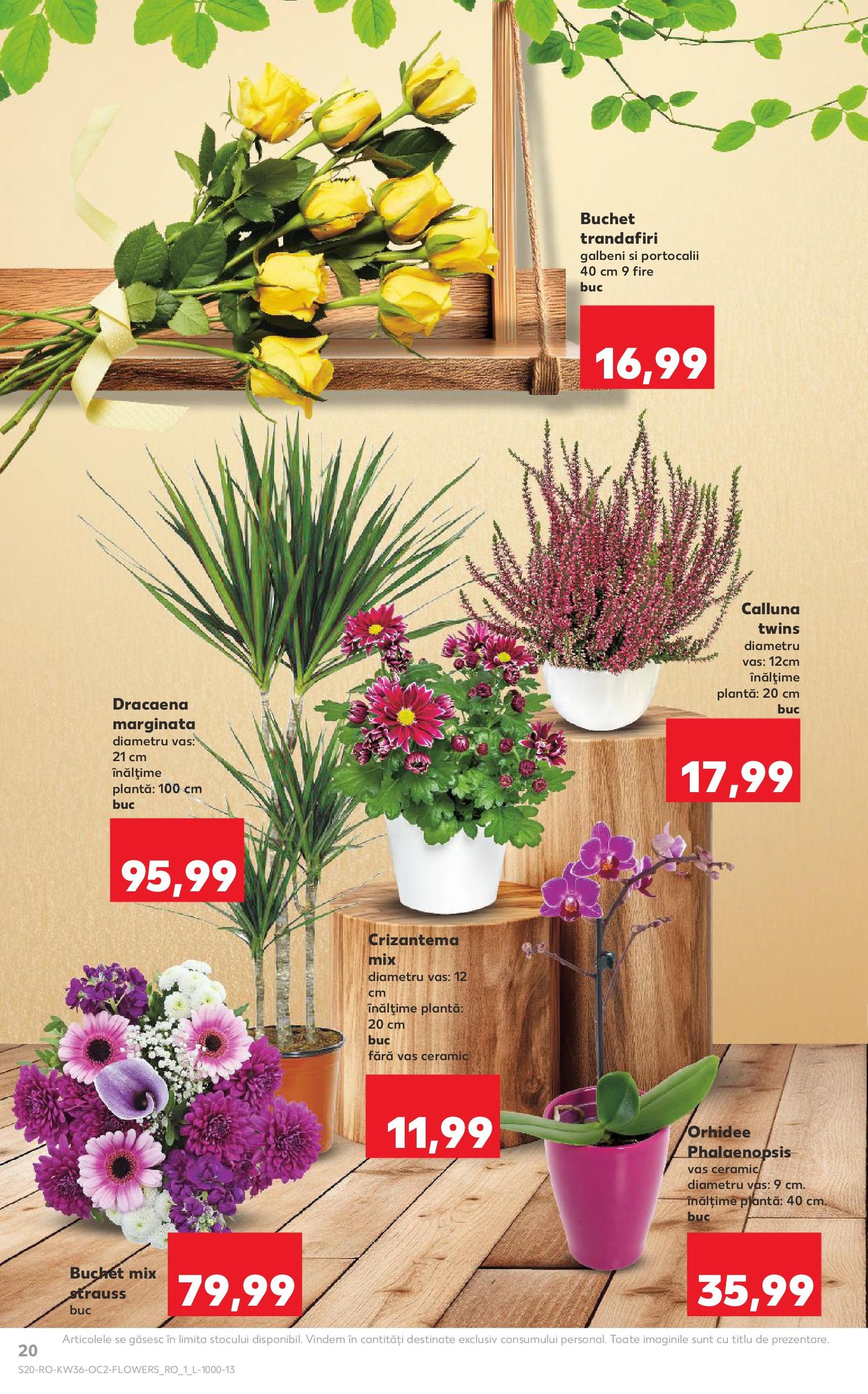 Catalog Kaufland - Bucureşti - cataloage valabile începând cu 03.09.2025 pagina 20 din 66 Catalog Kaufland - Bucureşti - cataloage valabile începând cu 03.09.2025 pagina 20 din 66