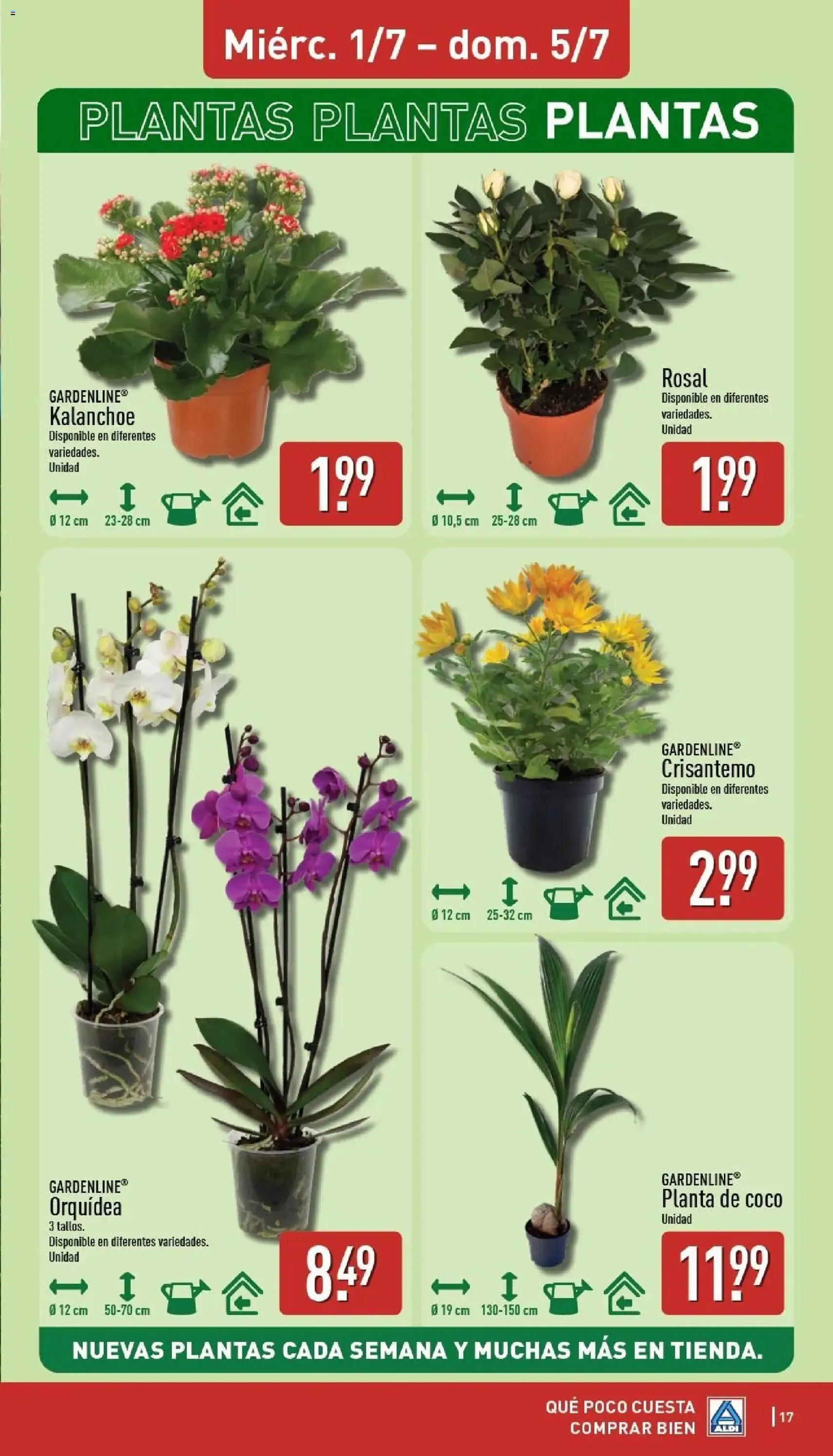Aldi folleto Península - folleto válido desde 29/06/2026 página 17 de 30