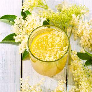 Recipe preview Elderflower Juice