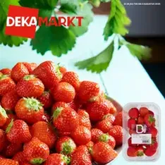 Dekamarkt - Folder - voorvertoning van de folder geldig vanaf 29-07-2025