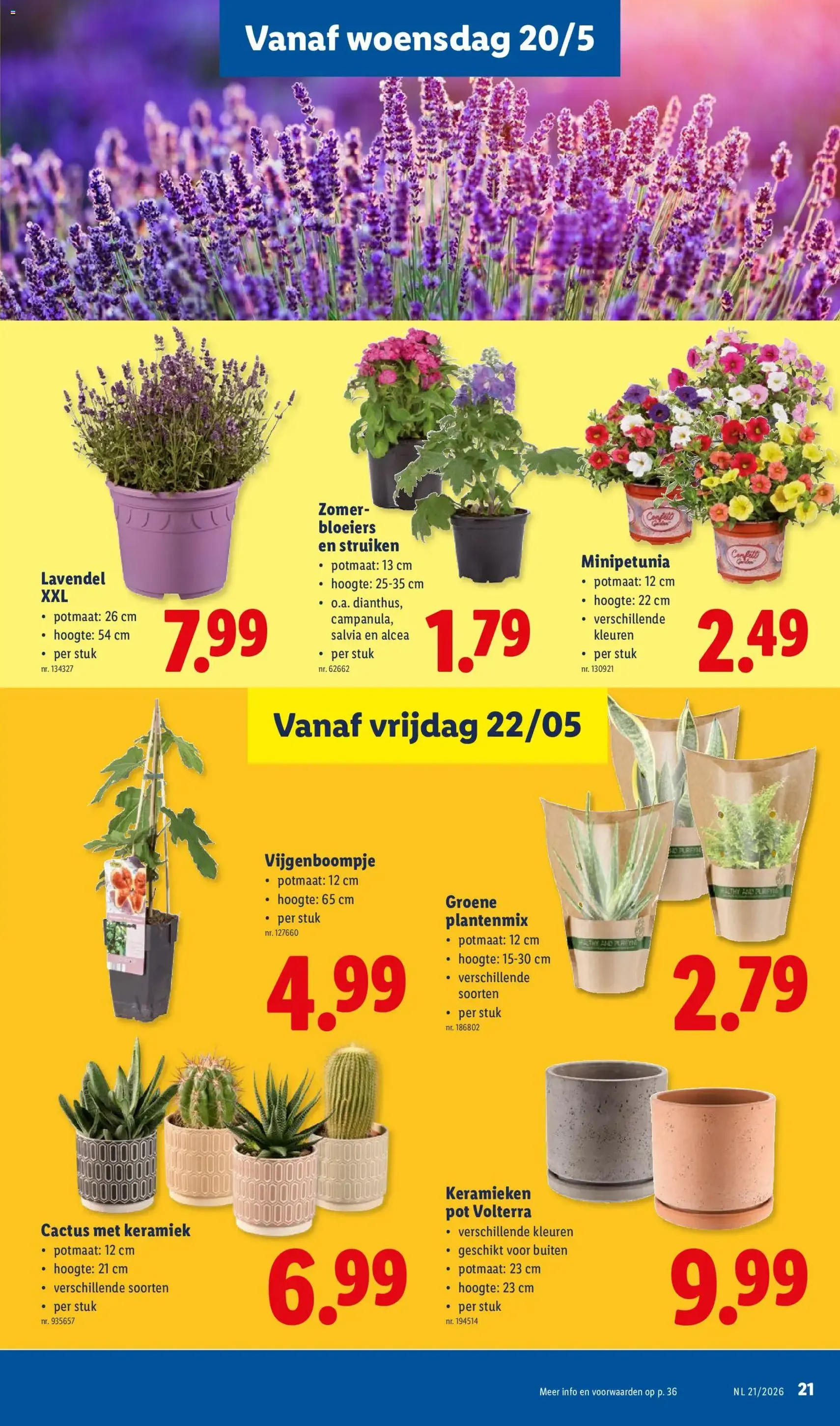 Lidl Folder week 21 - geldige folder vanaf 18/05/2026 pagina 21 van 36