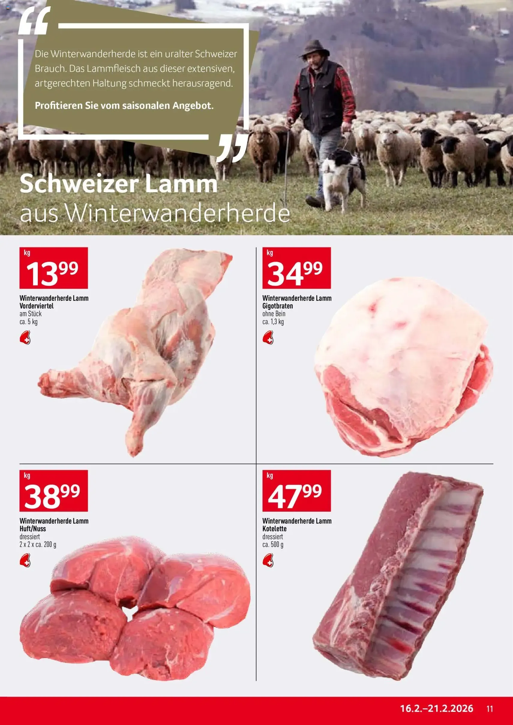 Prodega Aktionen - Gültiger Prospekt ab 16.02.2026, Seite 11 von insgesamt 36