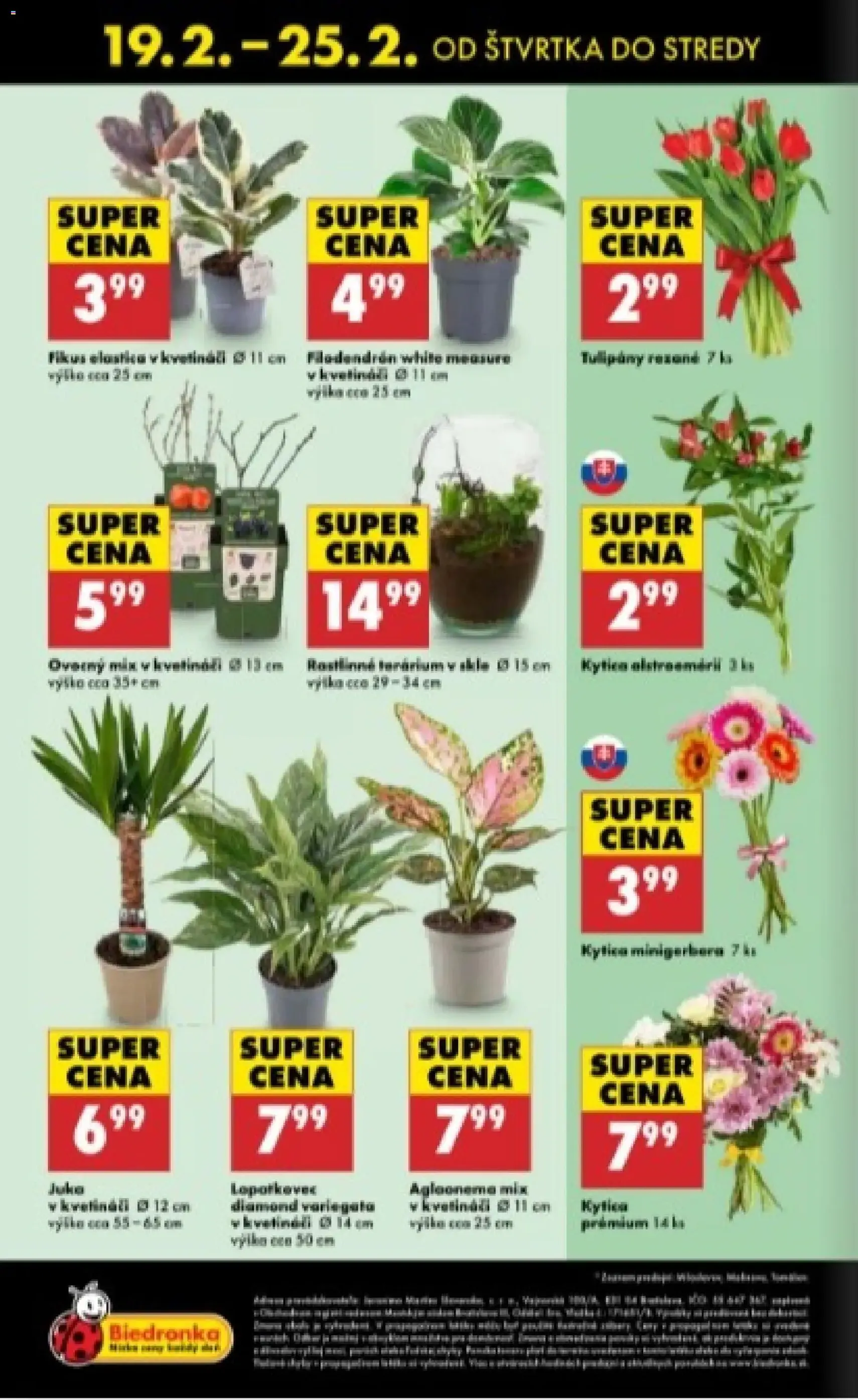 Biedronka leták - platný leták od 19.02.2026 strana 48 z 48