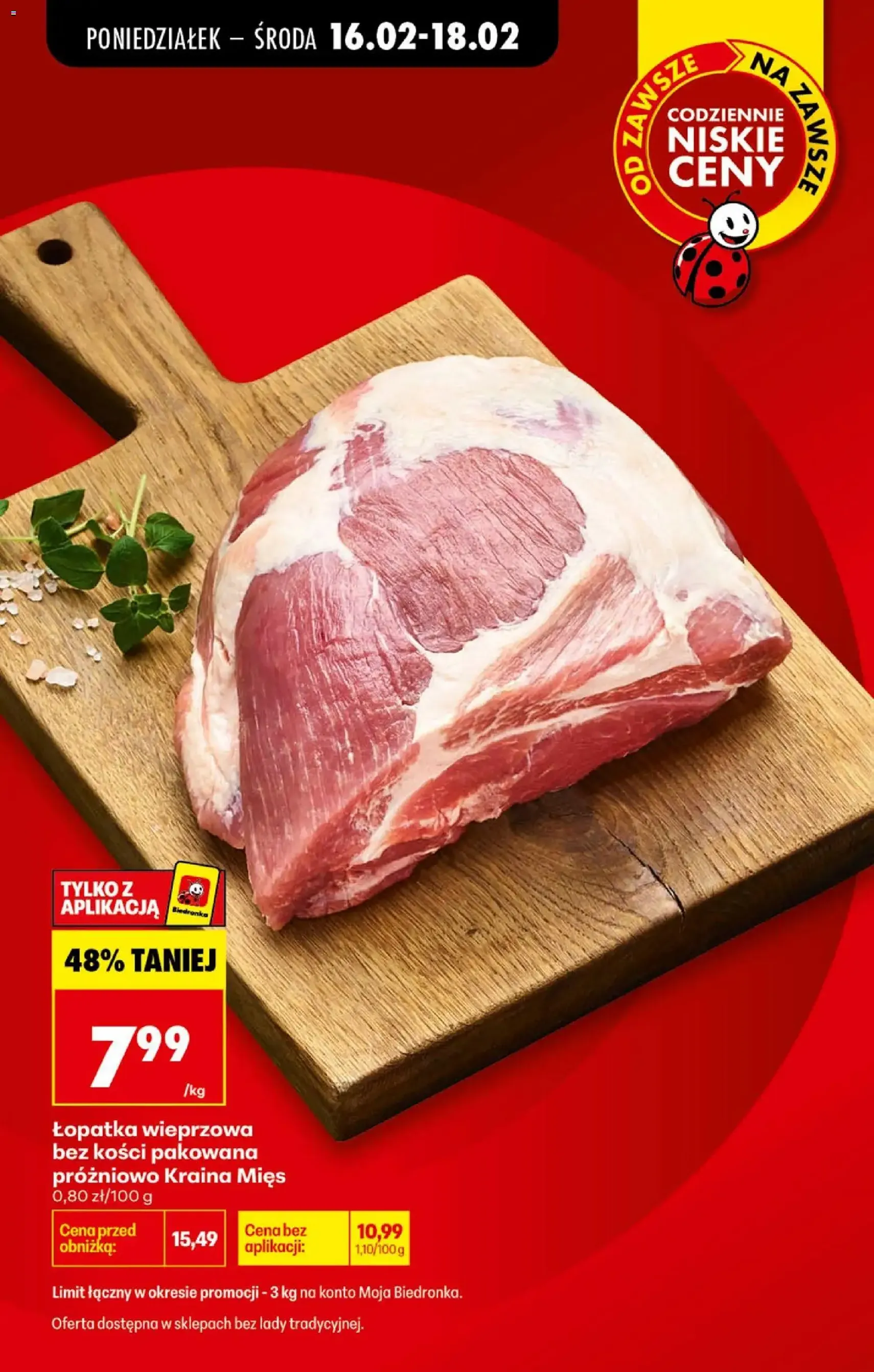 Biedronka gazetka - ważny gazetka od 16.02.2026 strona 3 z 86