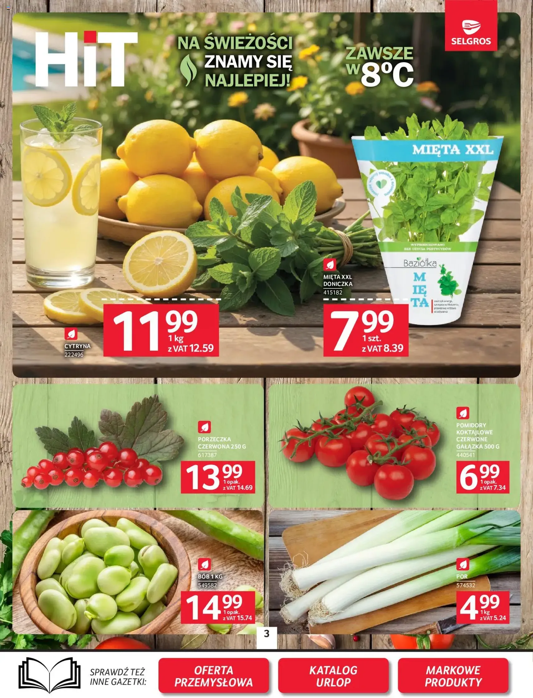 Selgros cash&carry gazetka - ważny gazetka od 02.07.2026 strona 3 z 25