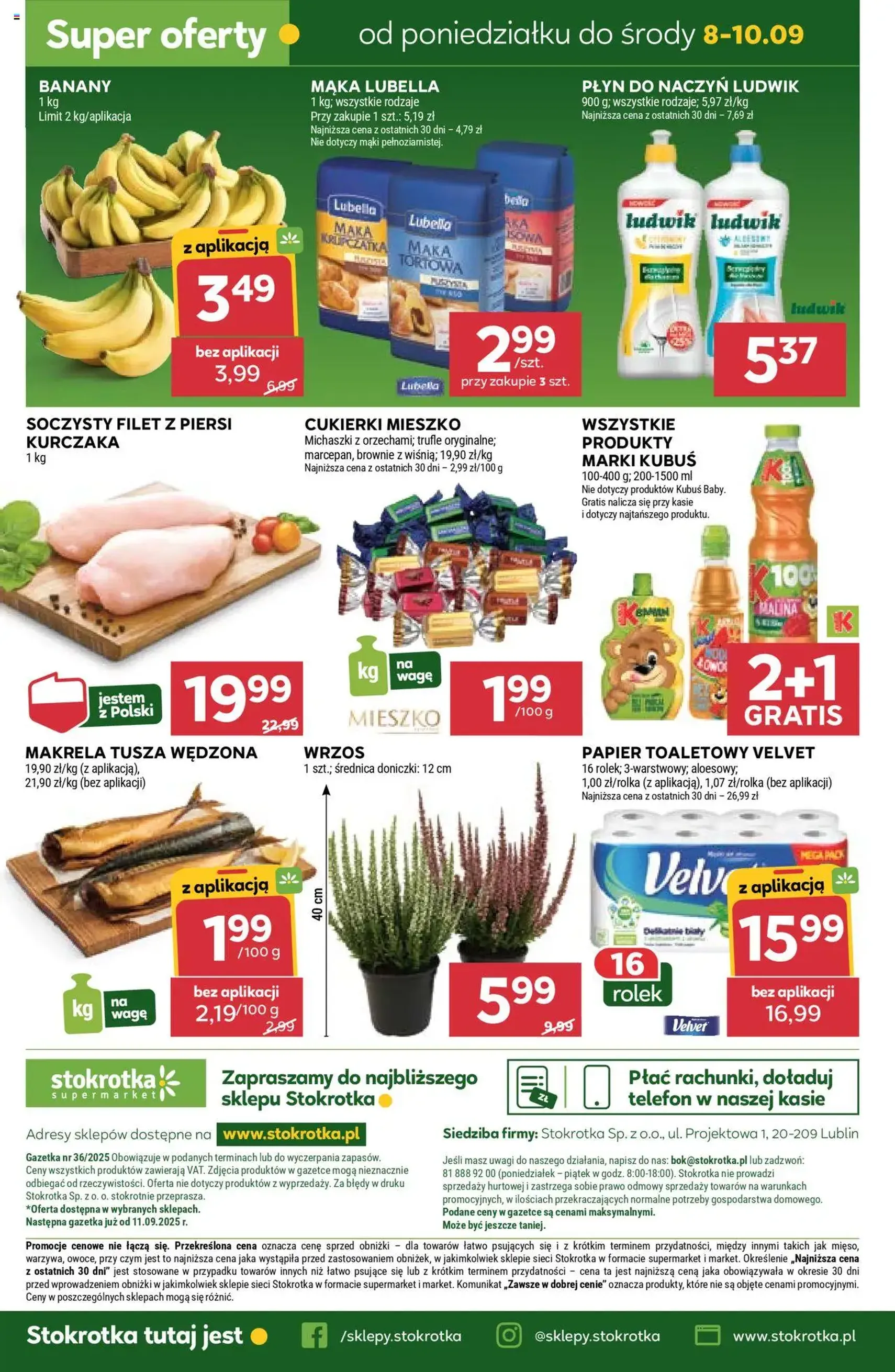 Stokrotka Gazetka - ważny gazetka od 04.09.2025 strona 42 z 43 Stokrotka Gazetka - ważny gazetka od 04.09.2025 strona 42 z 43
