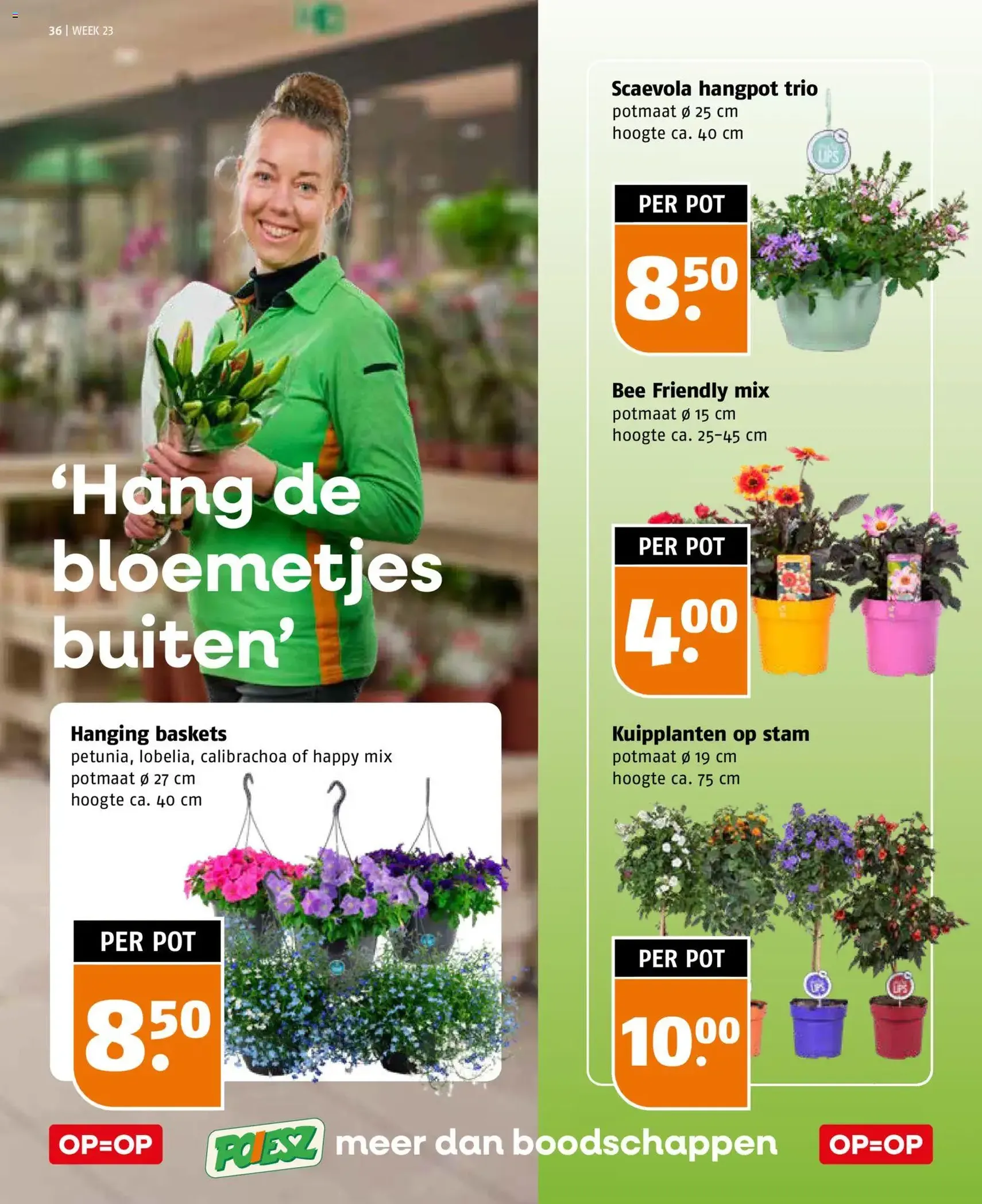 Poiesz folder - geldige folder vanaf 31-05-2026 pagina 36 van 40