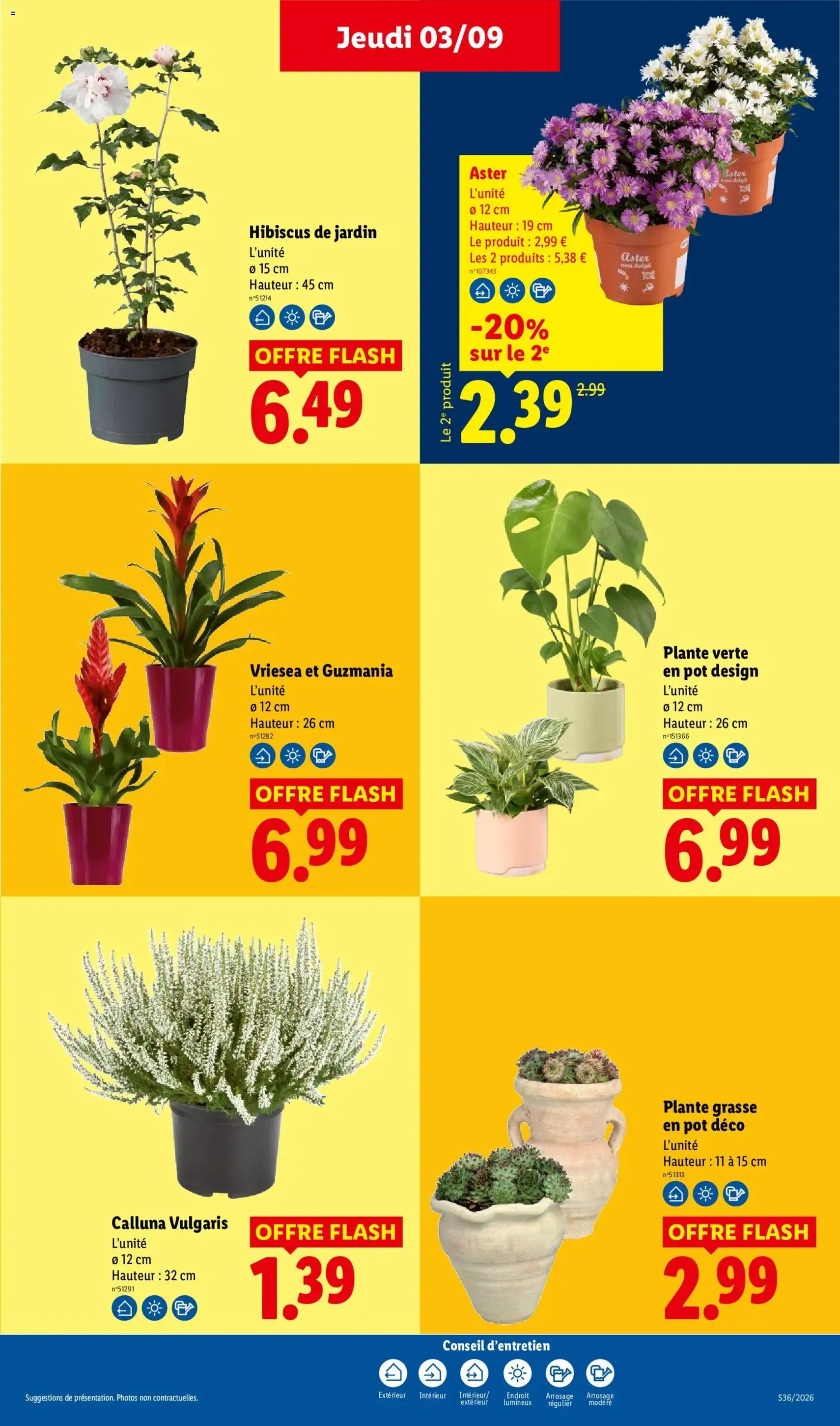 LIDL catalogue - brochure valable à partir du 03/09/2026, page 35 sur 61