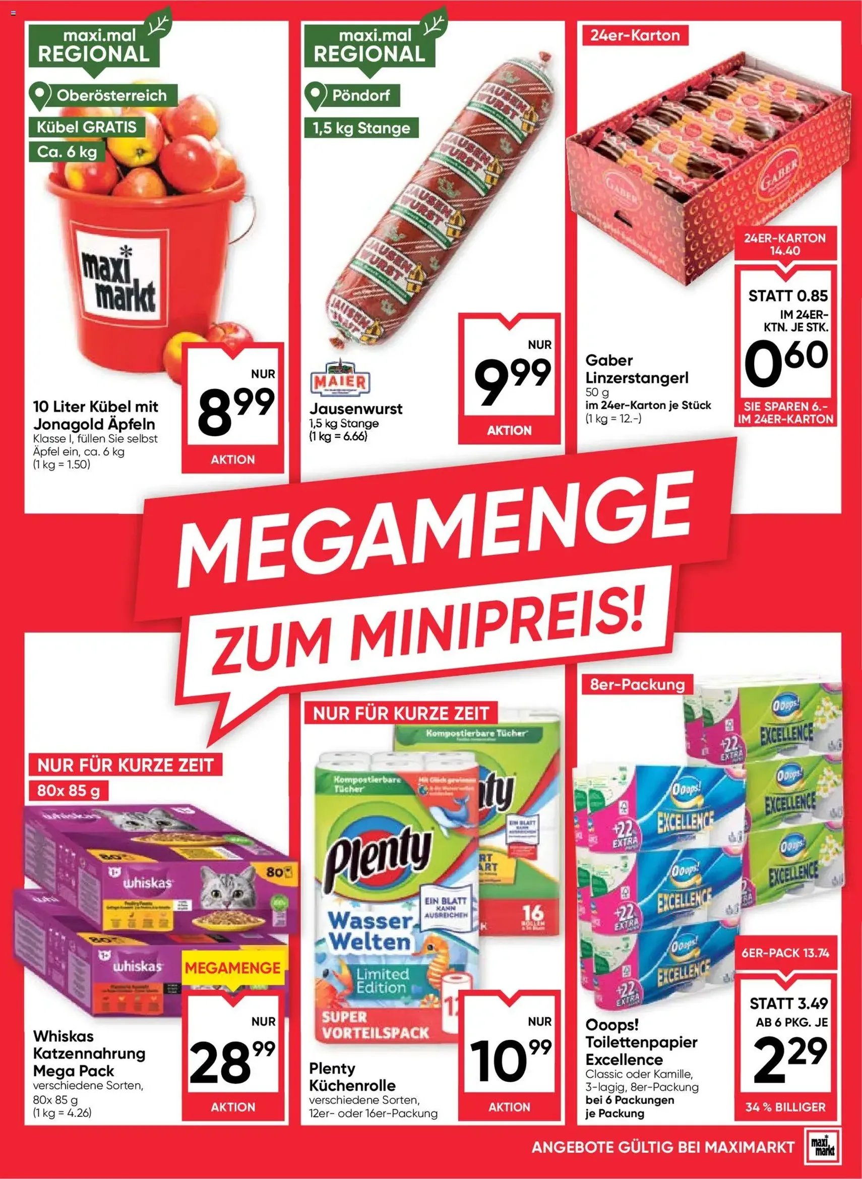 Maximarkt Flugblatt - Gültiger Prospekt ab 22.01.2026, Seite 13 von insgesamt 24