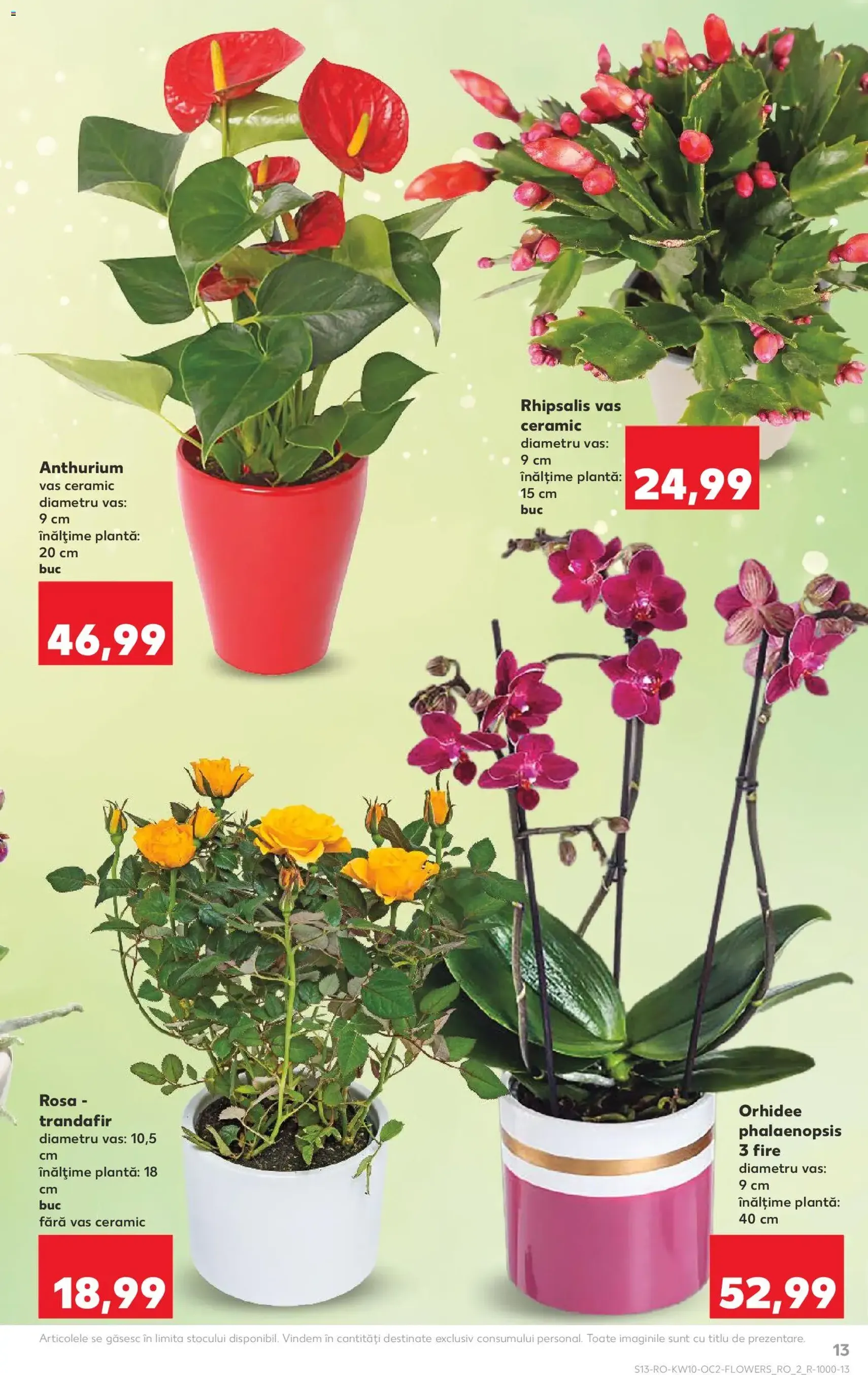 Kaufland Catalog - cataloage valabile începând cu 04.03.2026 pagina 13 din 70