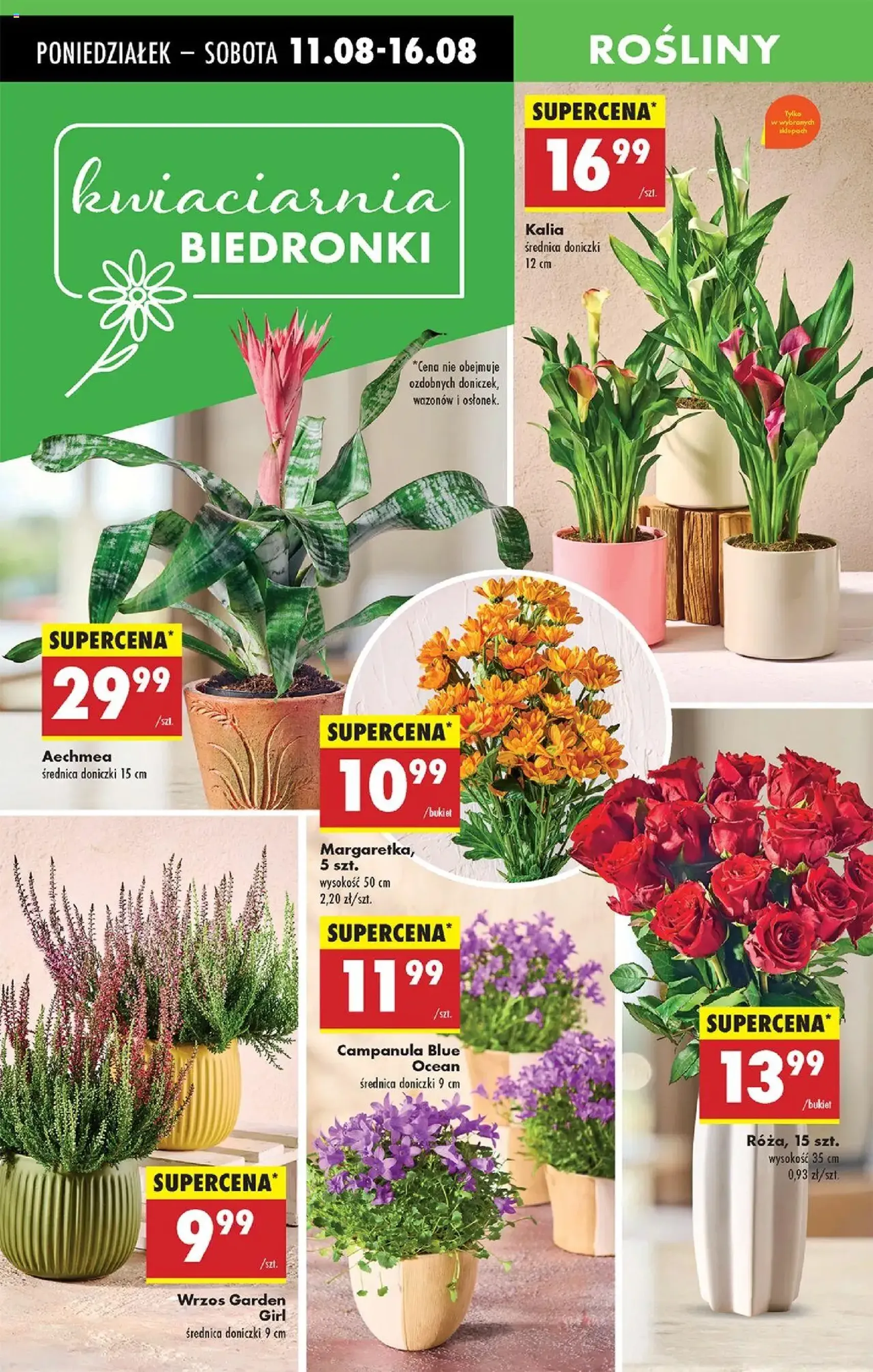 Biedronka gazetka - ważny gazetka od 11.08.2025 strona 24 z 82 Biedronka gazetka - ważny gazetka od 11.08.2025 strona 24 z 82