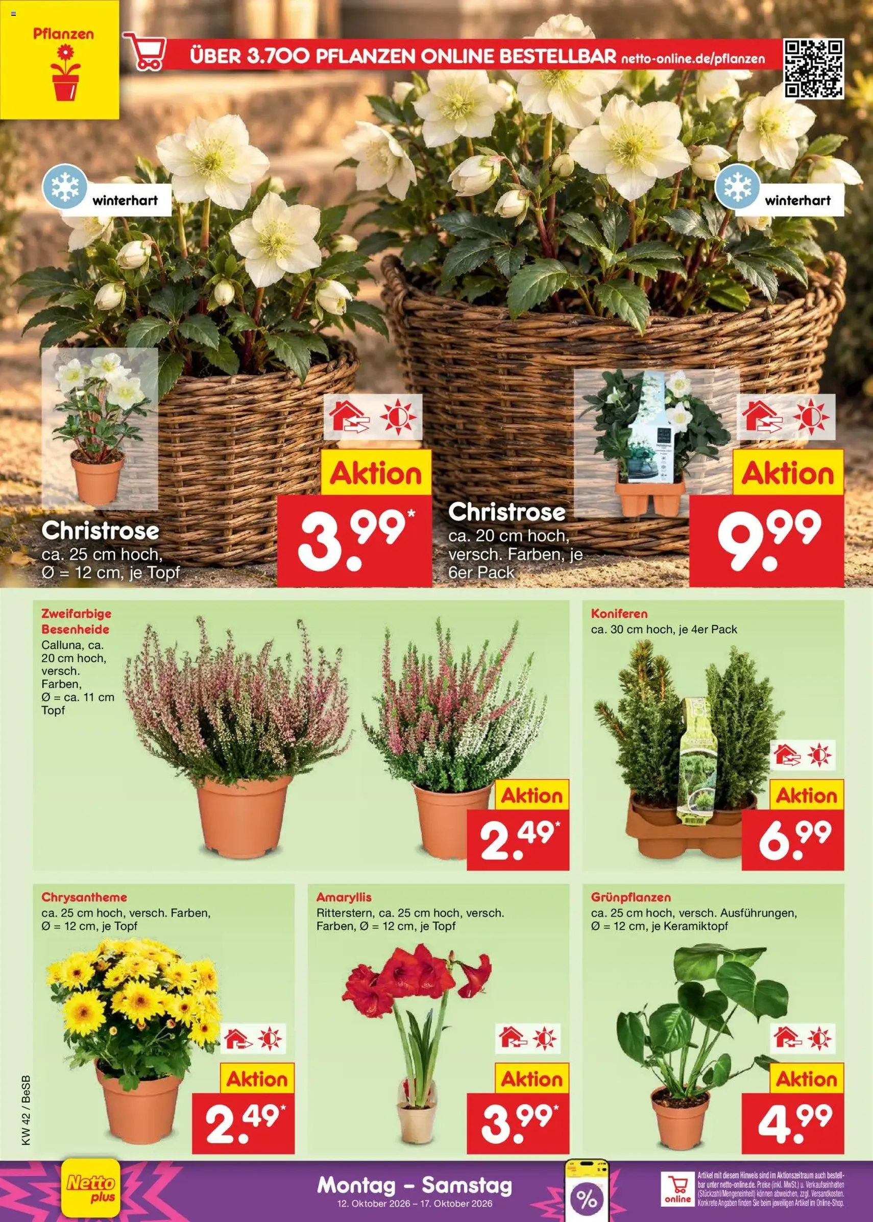 Netto Marken-Discount Prospekt - Gültiger Prospekt ab 12.10.2026, Seite 10 von insgesamt 74