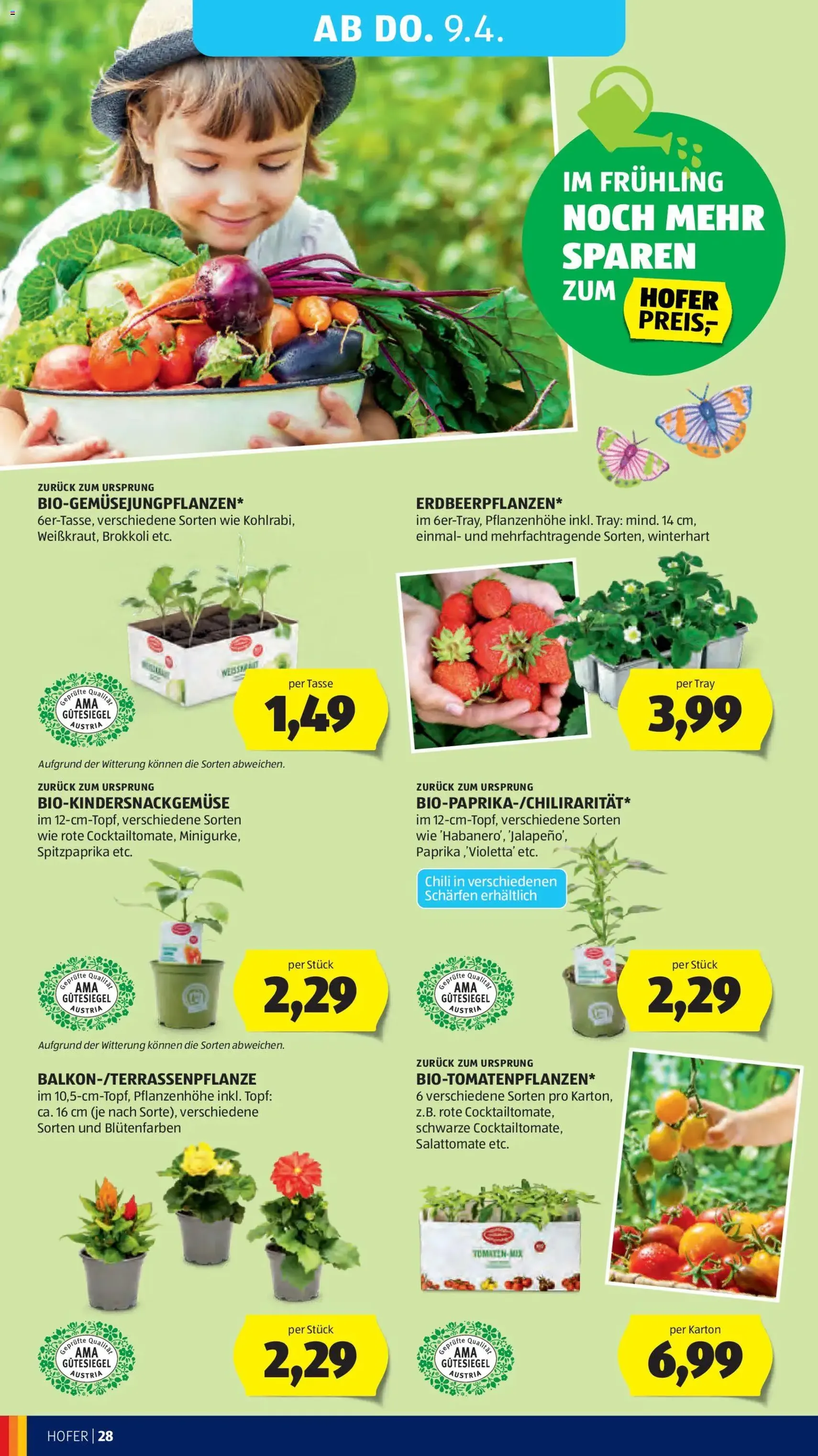 Hofer Flugblatt - Gültiger Prospekt ab 01.04.2026, Seite 32 von insgesamt 41