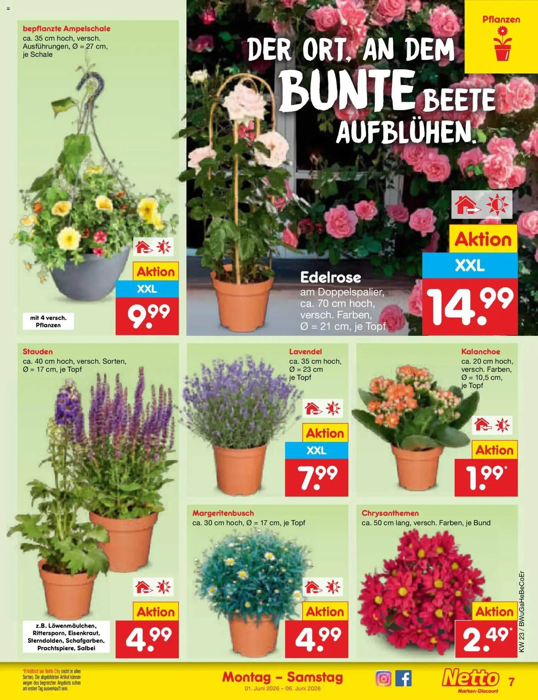 Netto Marken-Discount Prospekt - Gültiger Prospekt ab 01.06.2026, Seite 7 von insgesamt 66